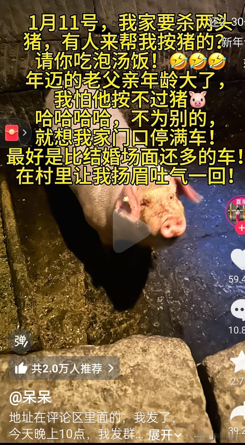 重庆合川呆呆，引来10万人围观！
原来是姑娘一句按年猪的玩笑话，
当地到了每年杀