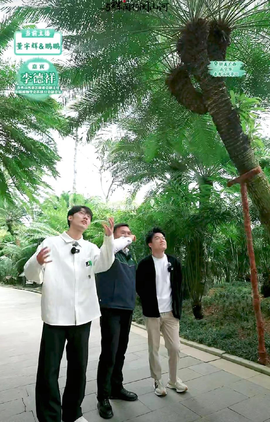 “一棵铁树立千载，海变成地来地变海。”今天又跟着董宇辉的镜头又长见识了。说实在的