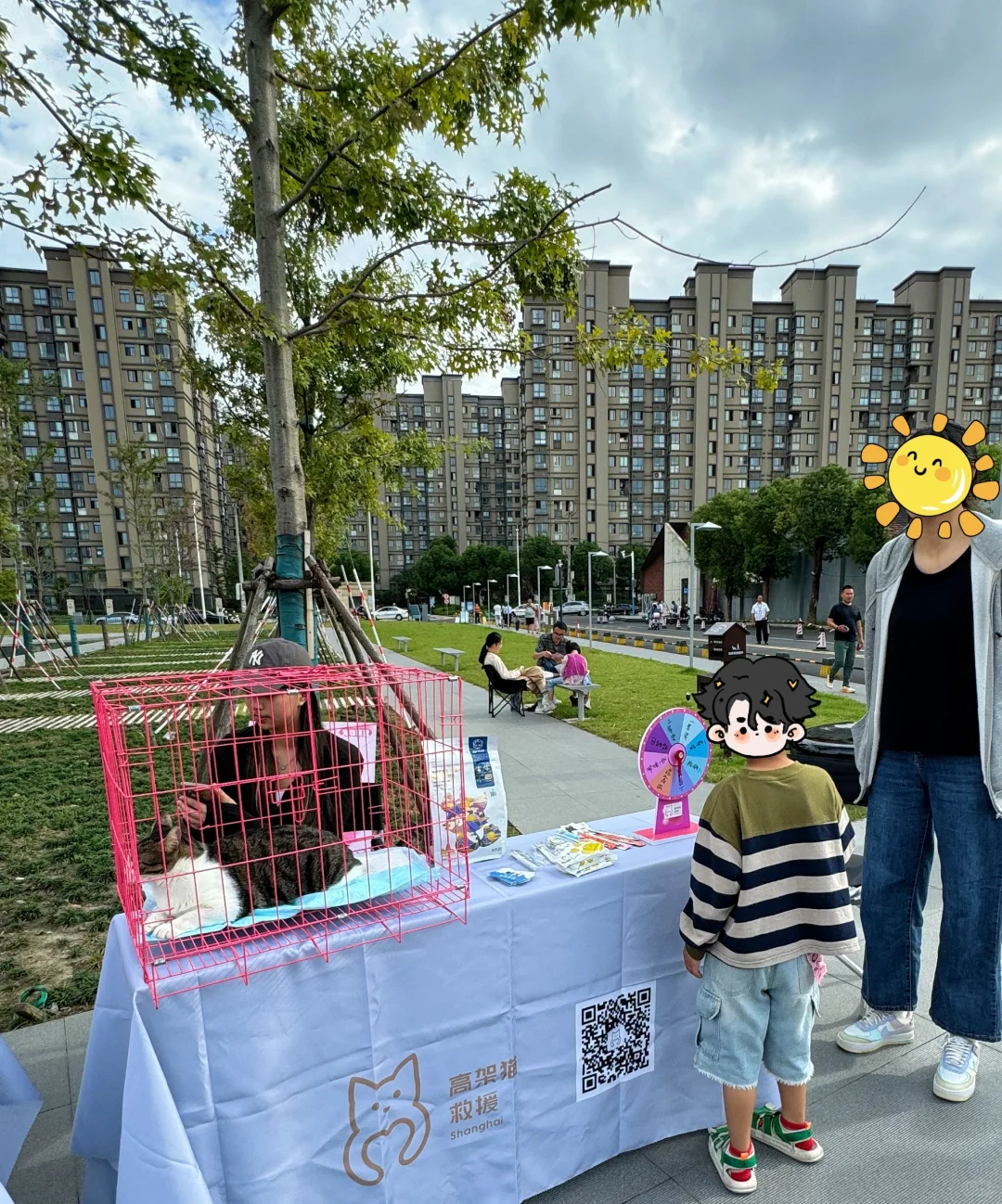 高架猫领养活动🐶🐱