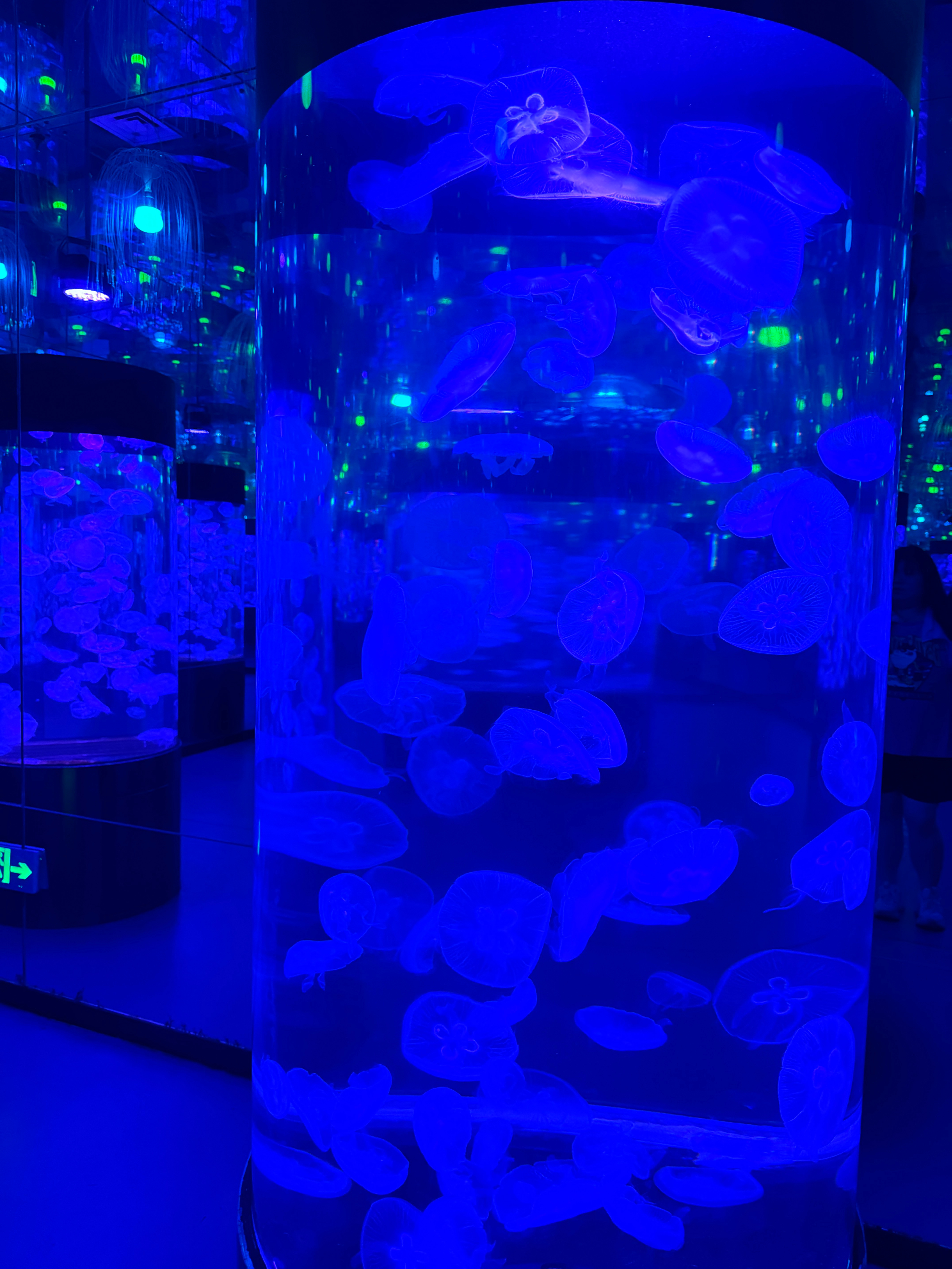 人生的黑夜也没什么不好，愈是黑暗的晚上，月亮和星星就愈是美丽了。 