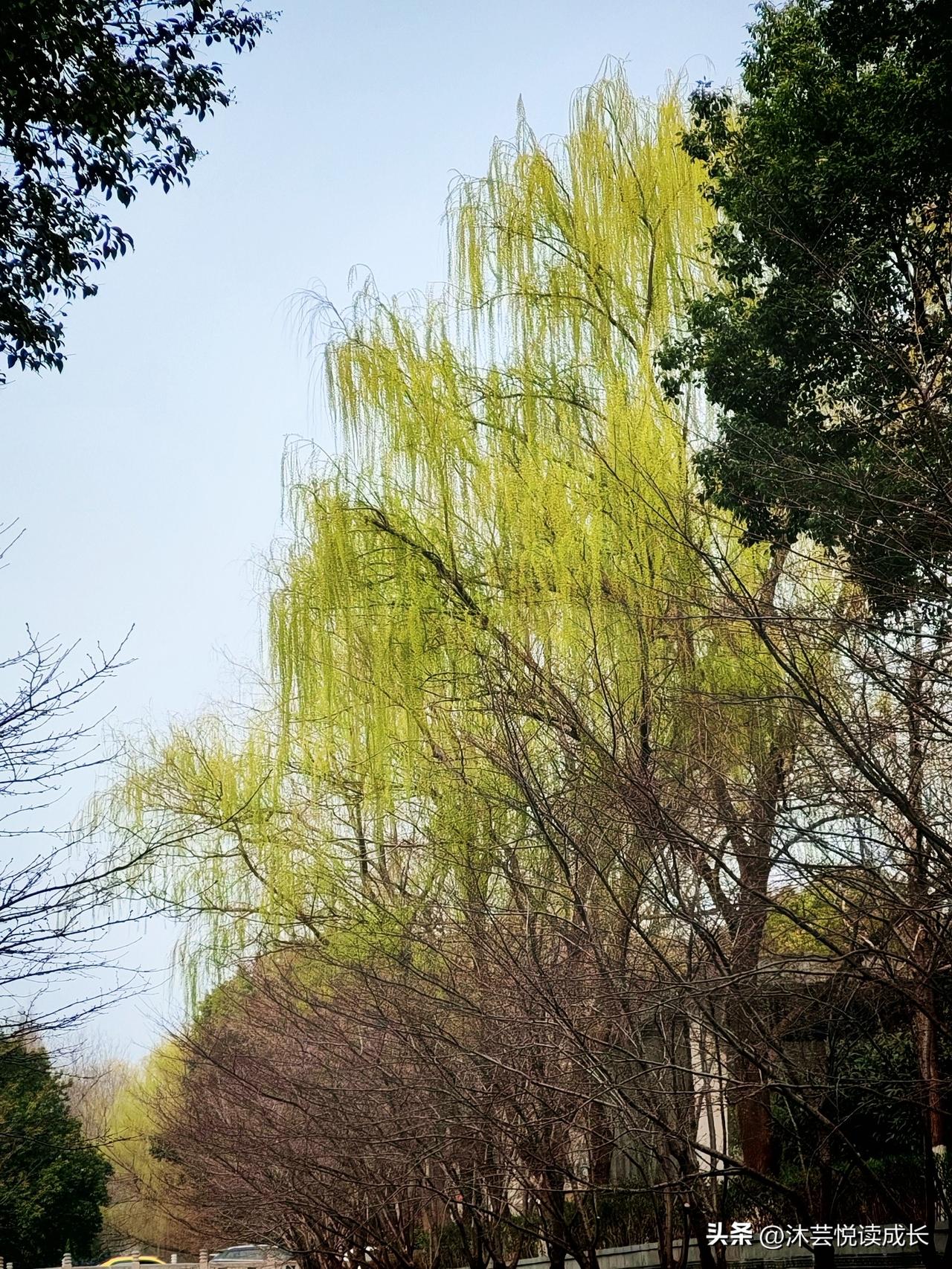 人老了，才知道最亲的不是子女
 
人老了，走不动了才慢慢明白：
这辈子最亲的人，