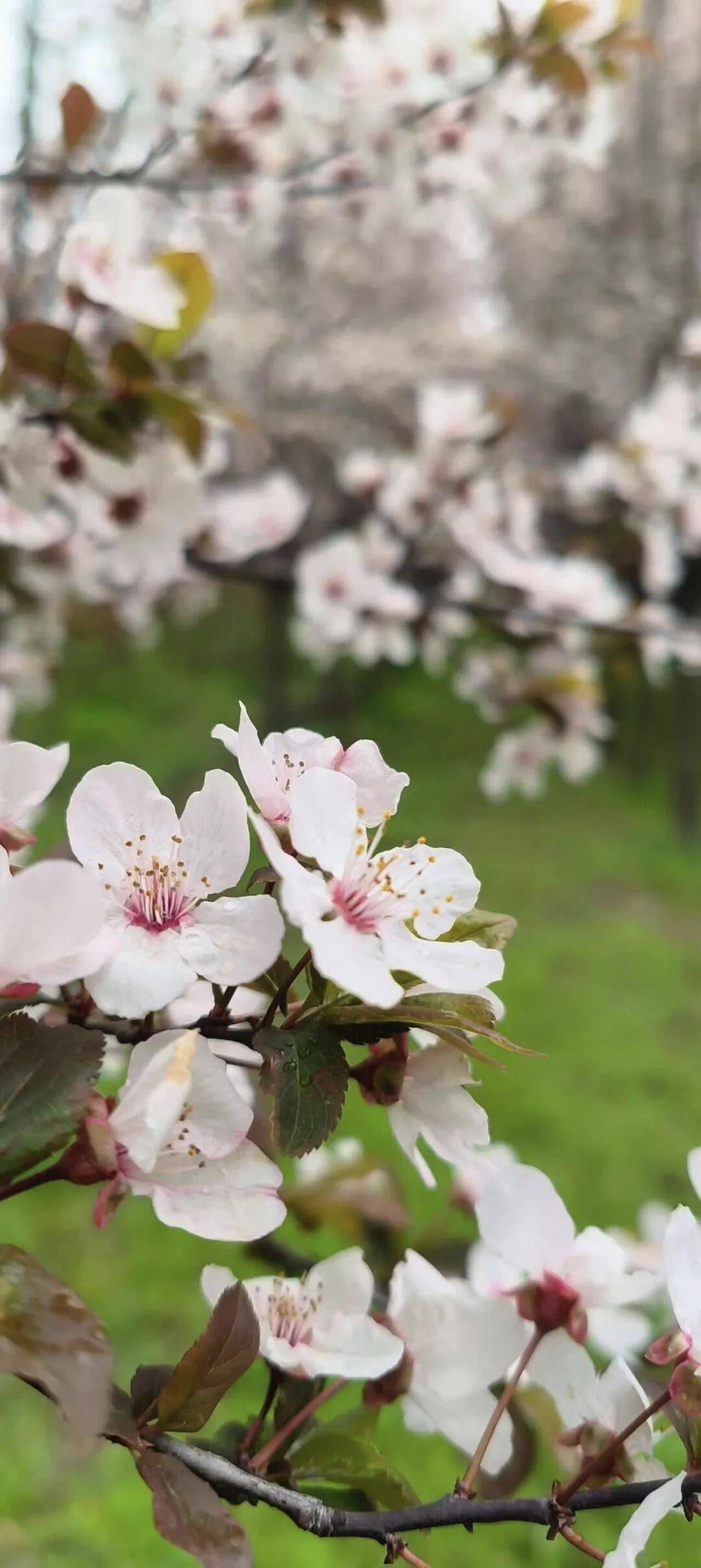 晒出你的本地生活我们这个地方啊。工资非常低。教龄30多年了。还不到7000呢。想