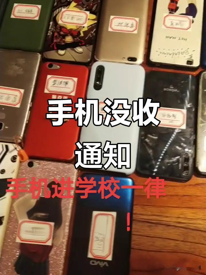 陕西柞水中学一名高中生因带手机入校被停课一个月，家长虽认可学校惩处初衷，但对停课