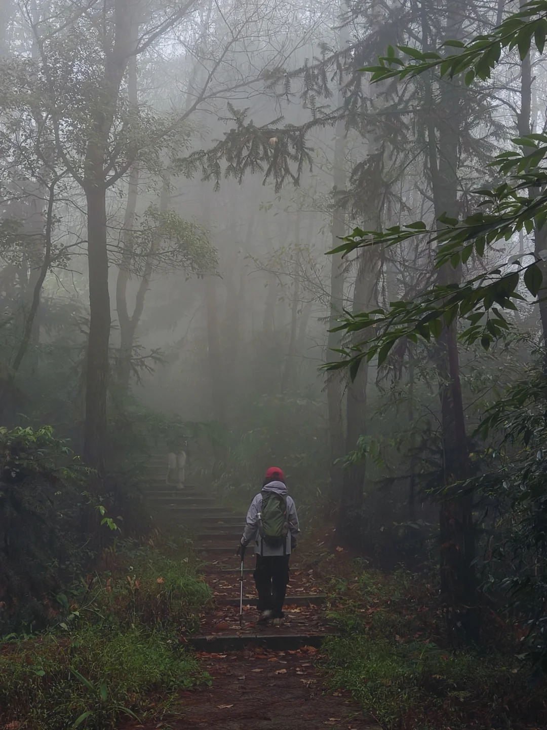 没想到，下雨天的山这么仙