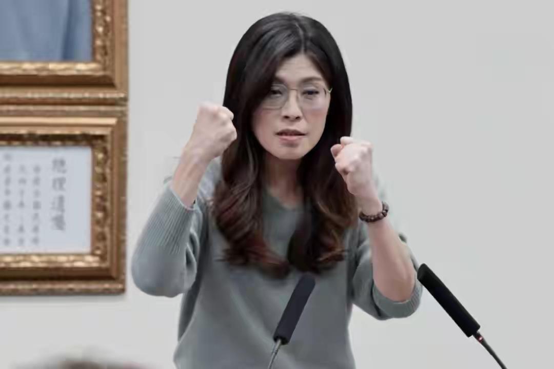 岛政漫谈：两岸交流重启之际，民进党内部暗潮汹涌
 
2026年开年，台海局势在两