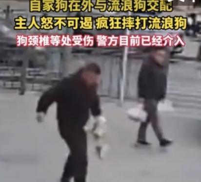 基于事件核心信息，我将从伤者遭遇切入，深挖流浪狗治理的人性矛盾与社会痛点，用共情