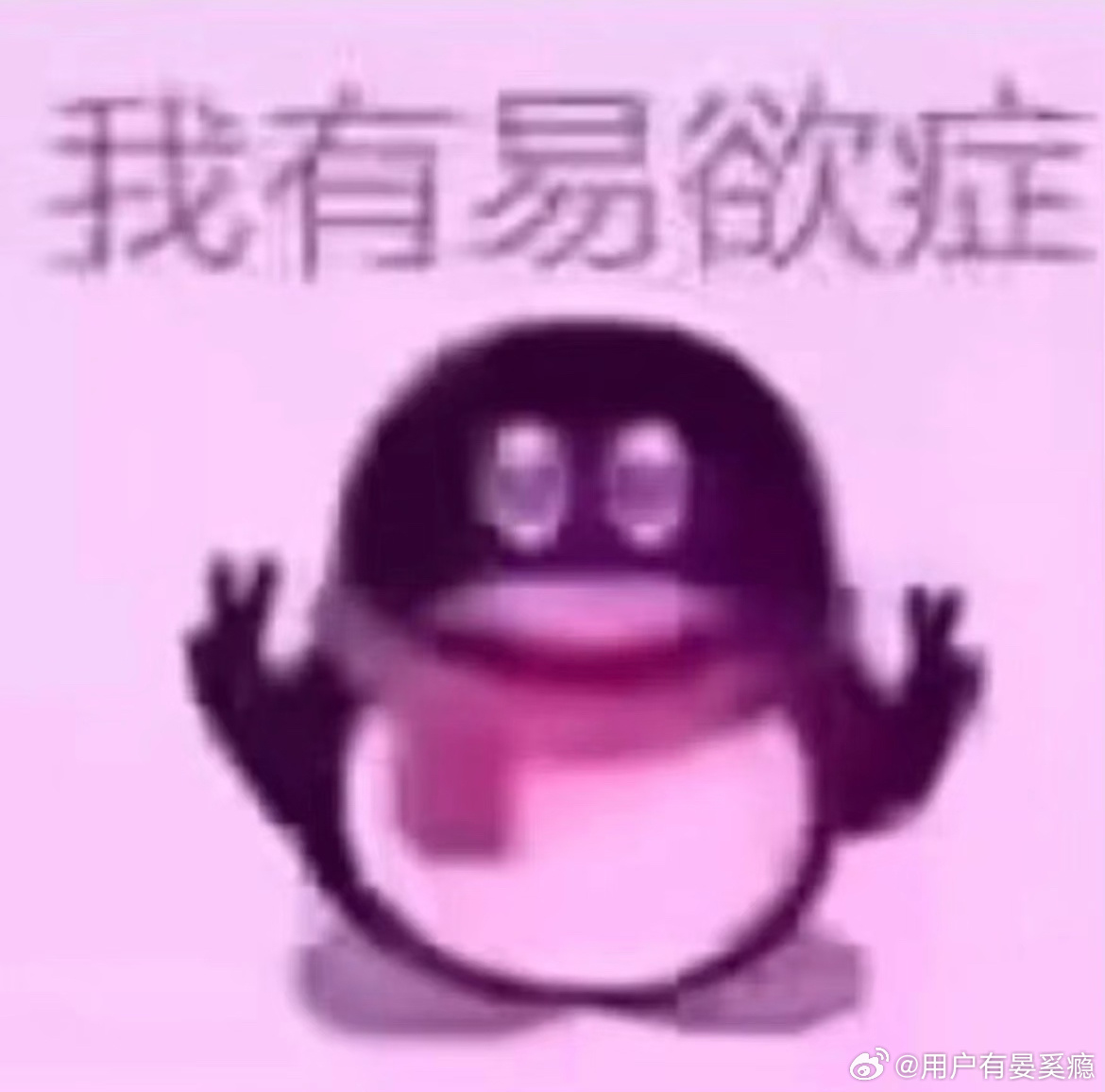 分享图片 