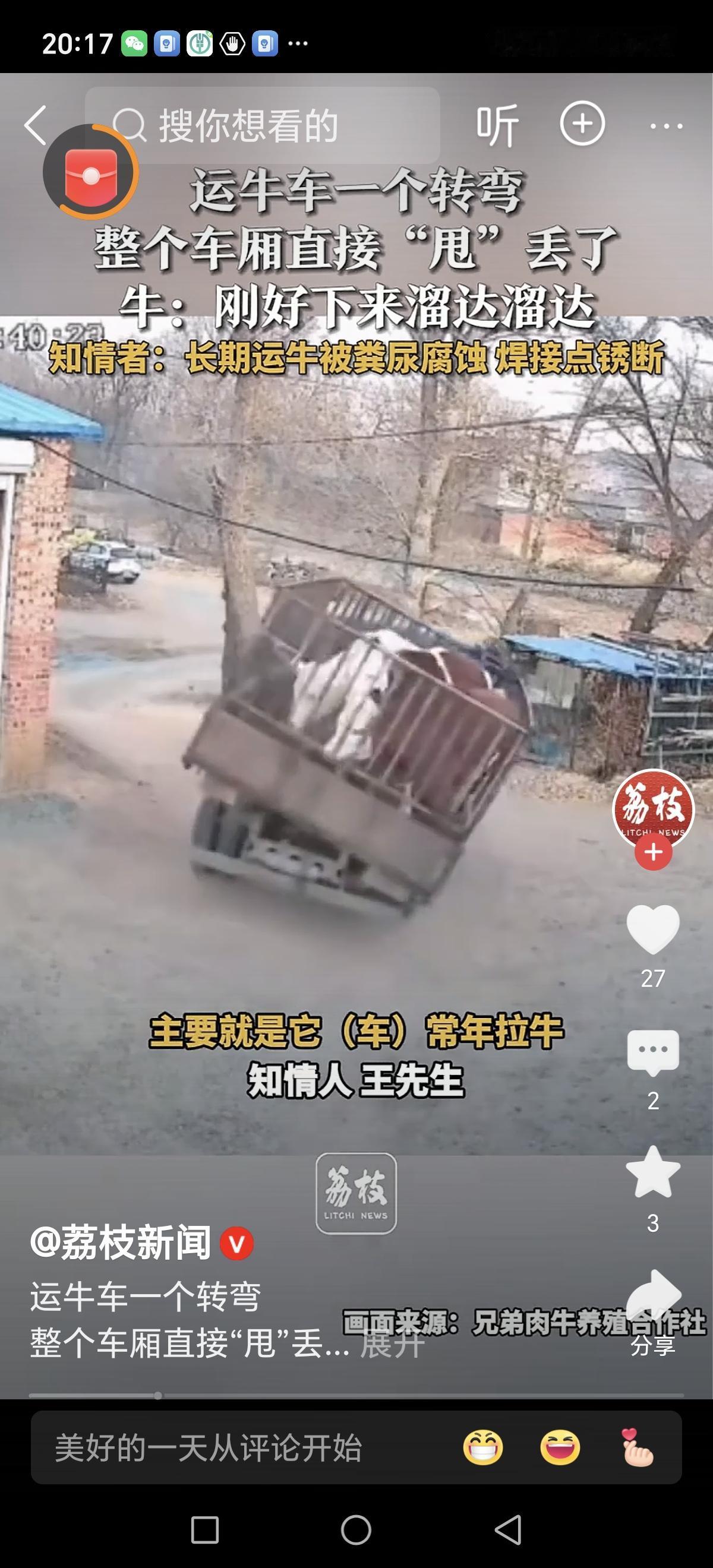 运牛车一个转弯甩出去3头牛，男子回应：没丢，牛都在院子里，挺意外的

这看似平凡