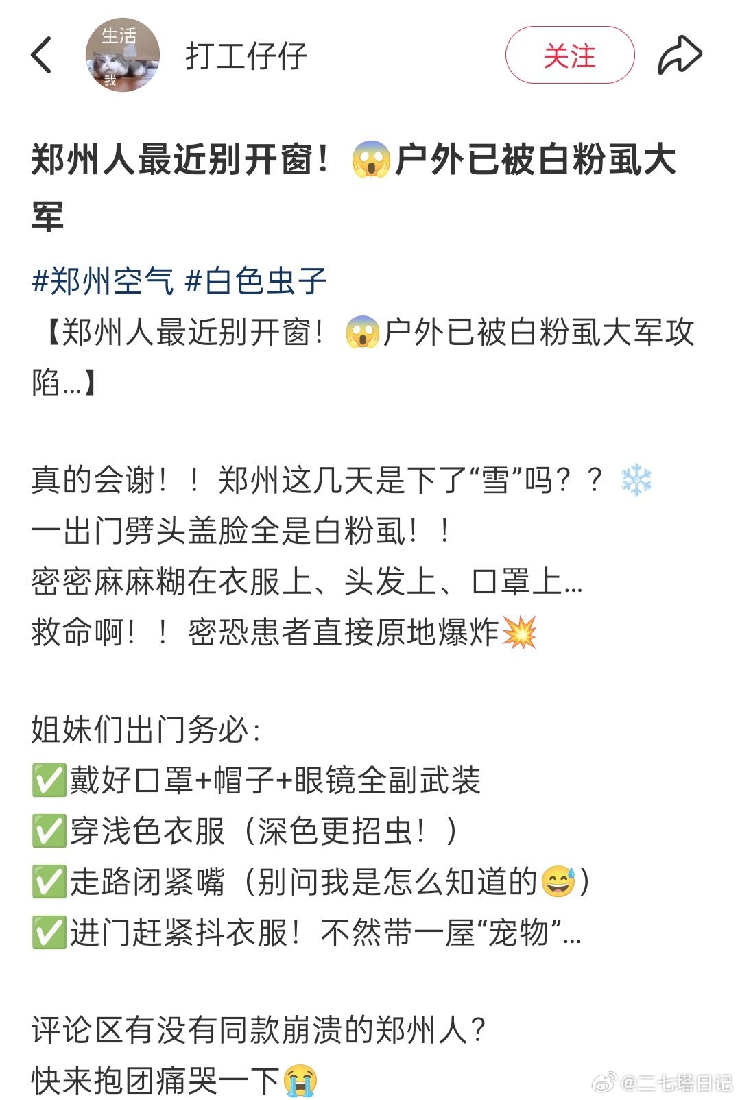 郑州这几天很多小白虫，原来这叫白粉虱 ​​​