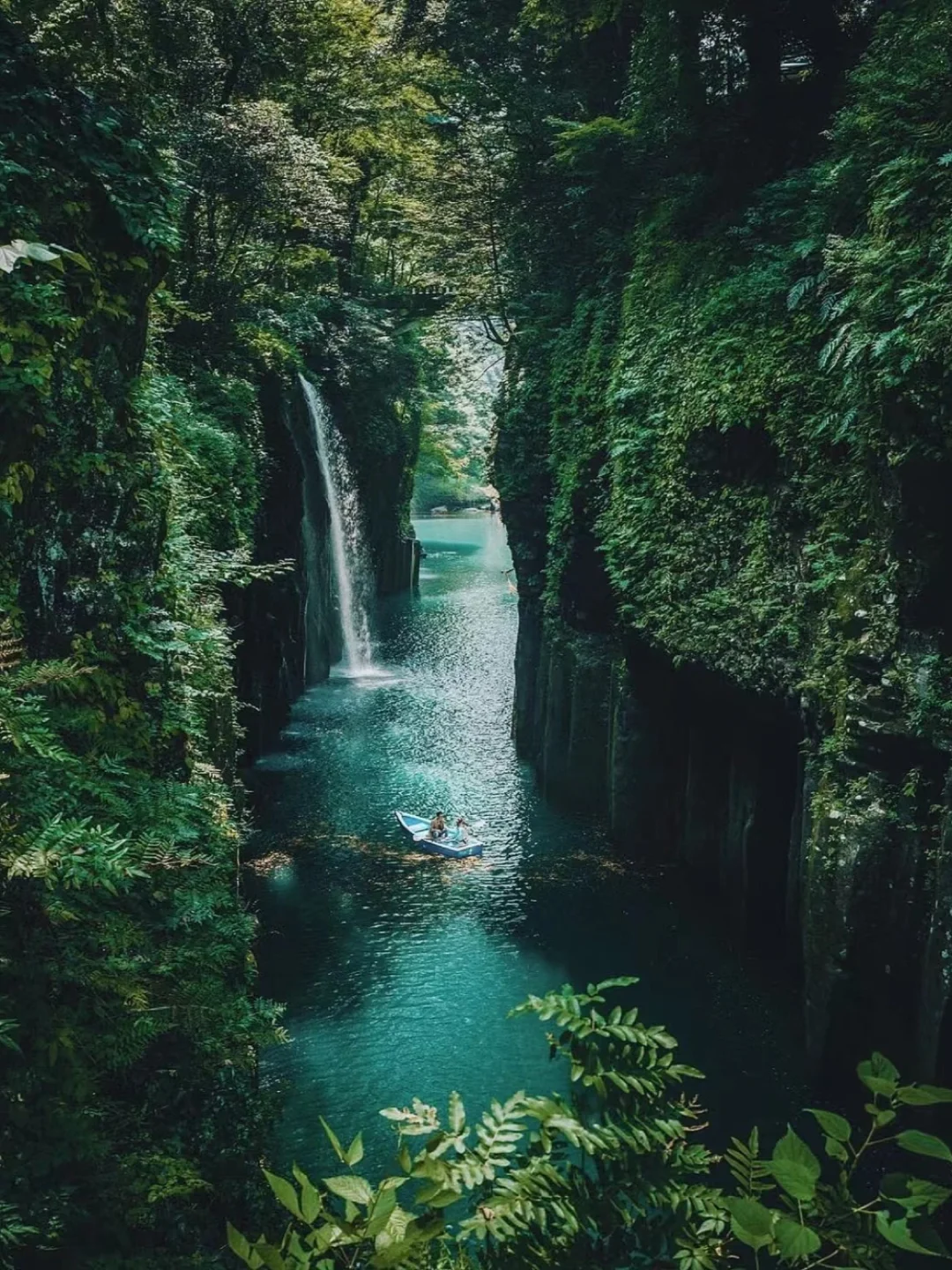 日本小众出行 🚣🏻 在绿色玻璃海上泛舟！