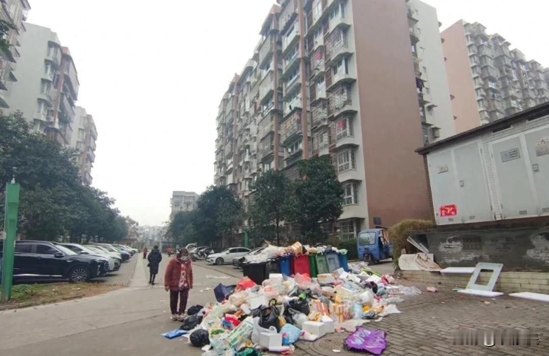 物业撤场第15天，业主群炸了！省下的钱不够赔，小区乱成“末日现场”！😱
你敢信