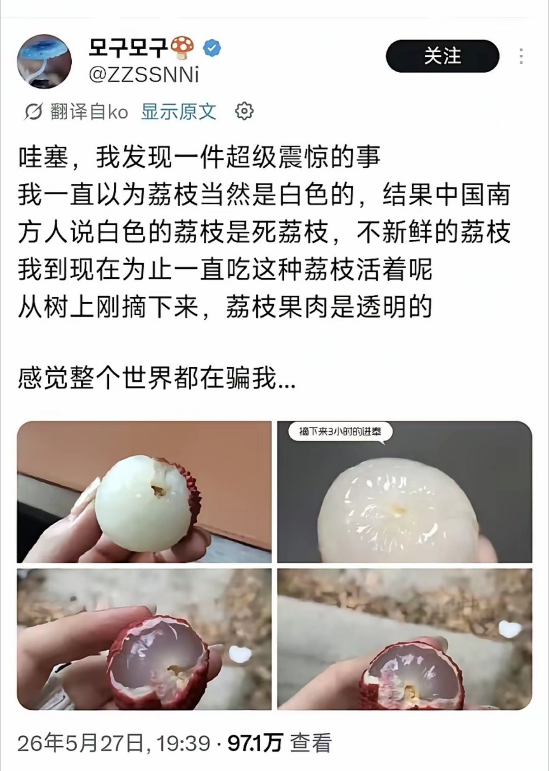 这次韩国人不嘴硬了