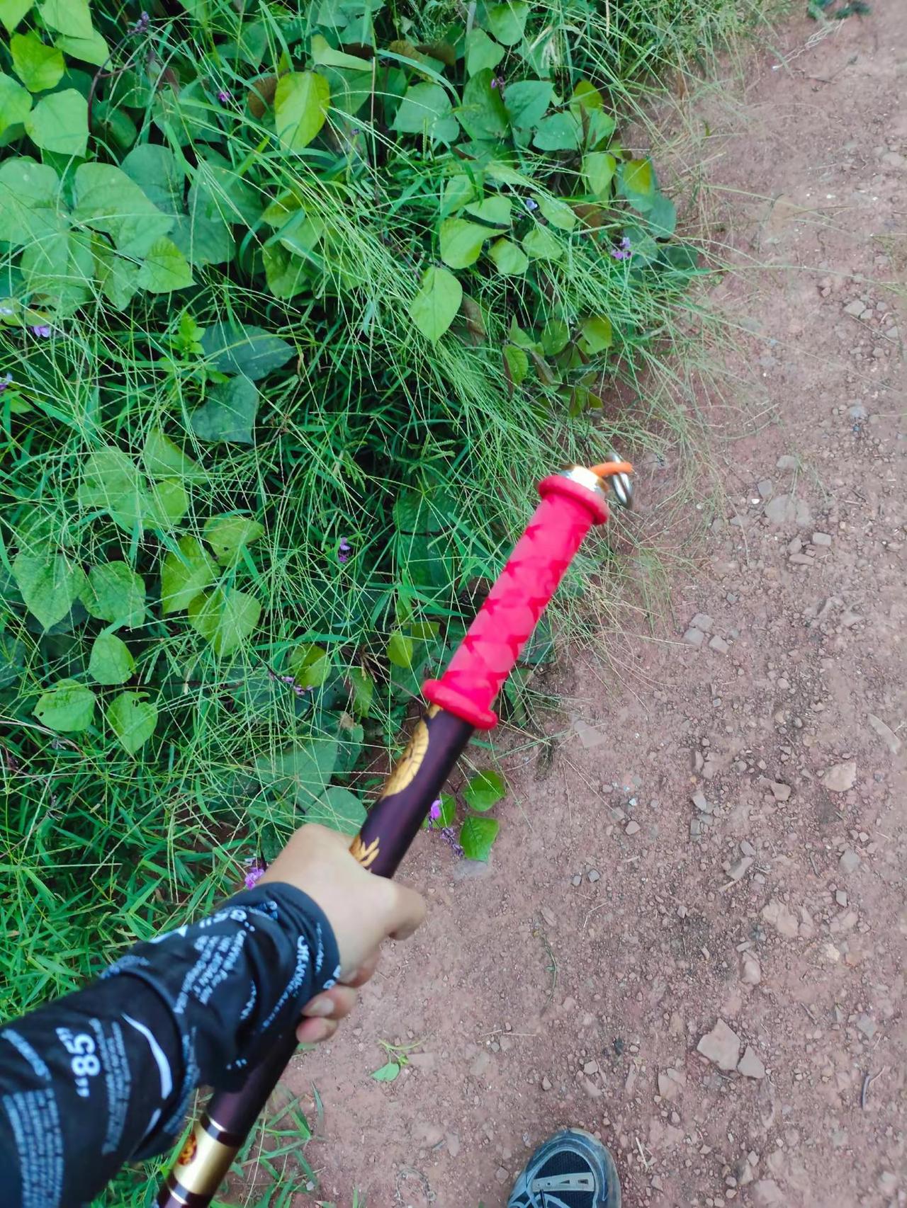 曾梦想仗剑走天涯，如今在鱼塘边上迈不开腿野钓 竿在手鱼我有