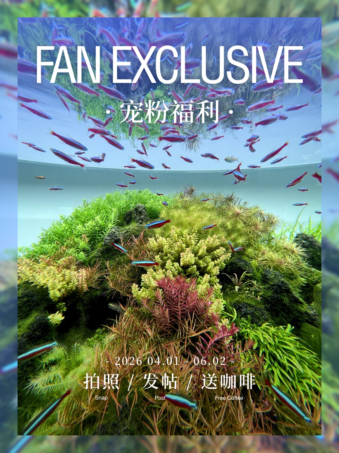 ADA自然水景世界请你喝咖啡啦