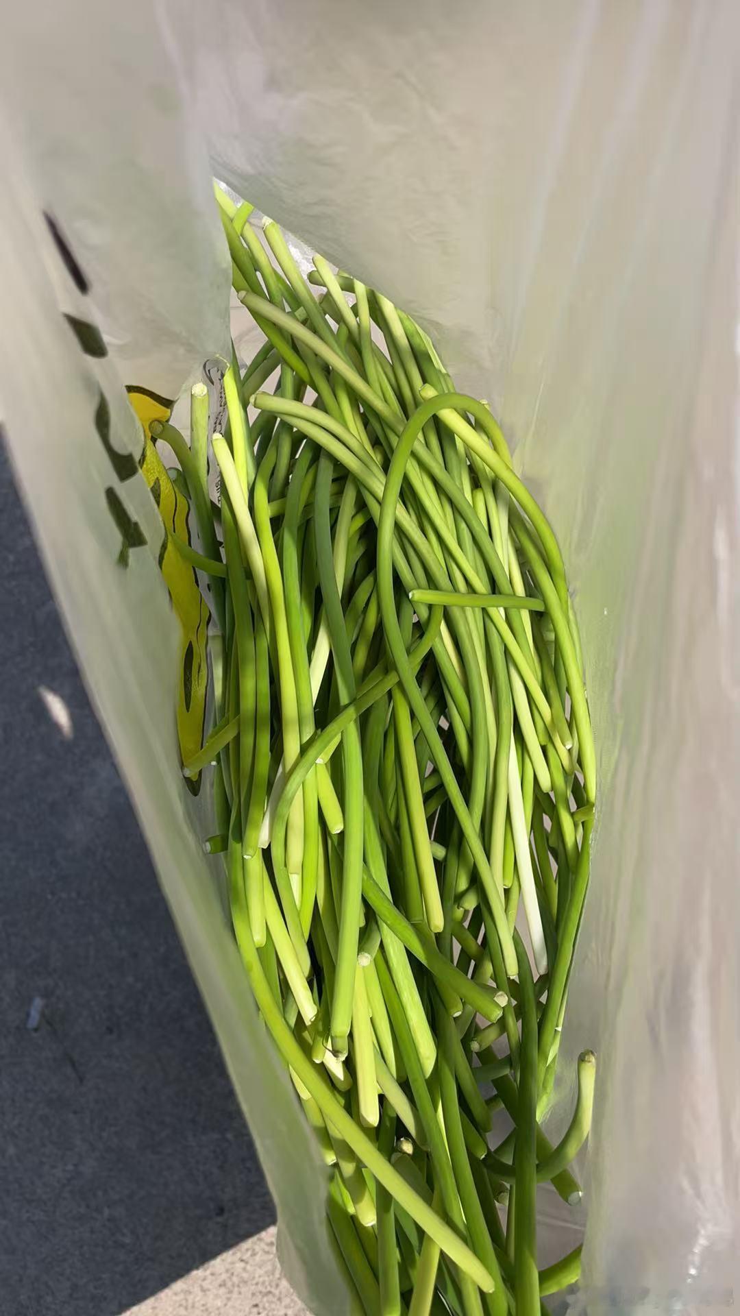麦兜兜响当当 被邻居投喂了蒜苔我说够吃一顿就可以邻居一掐一大把说放冰箱可以多吃几