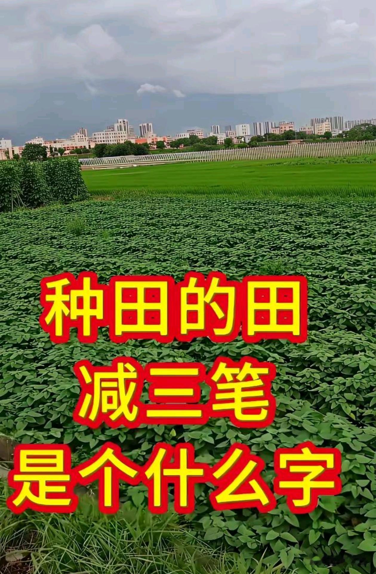 发挥你们才华的时候到了