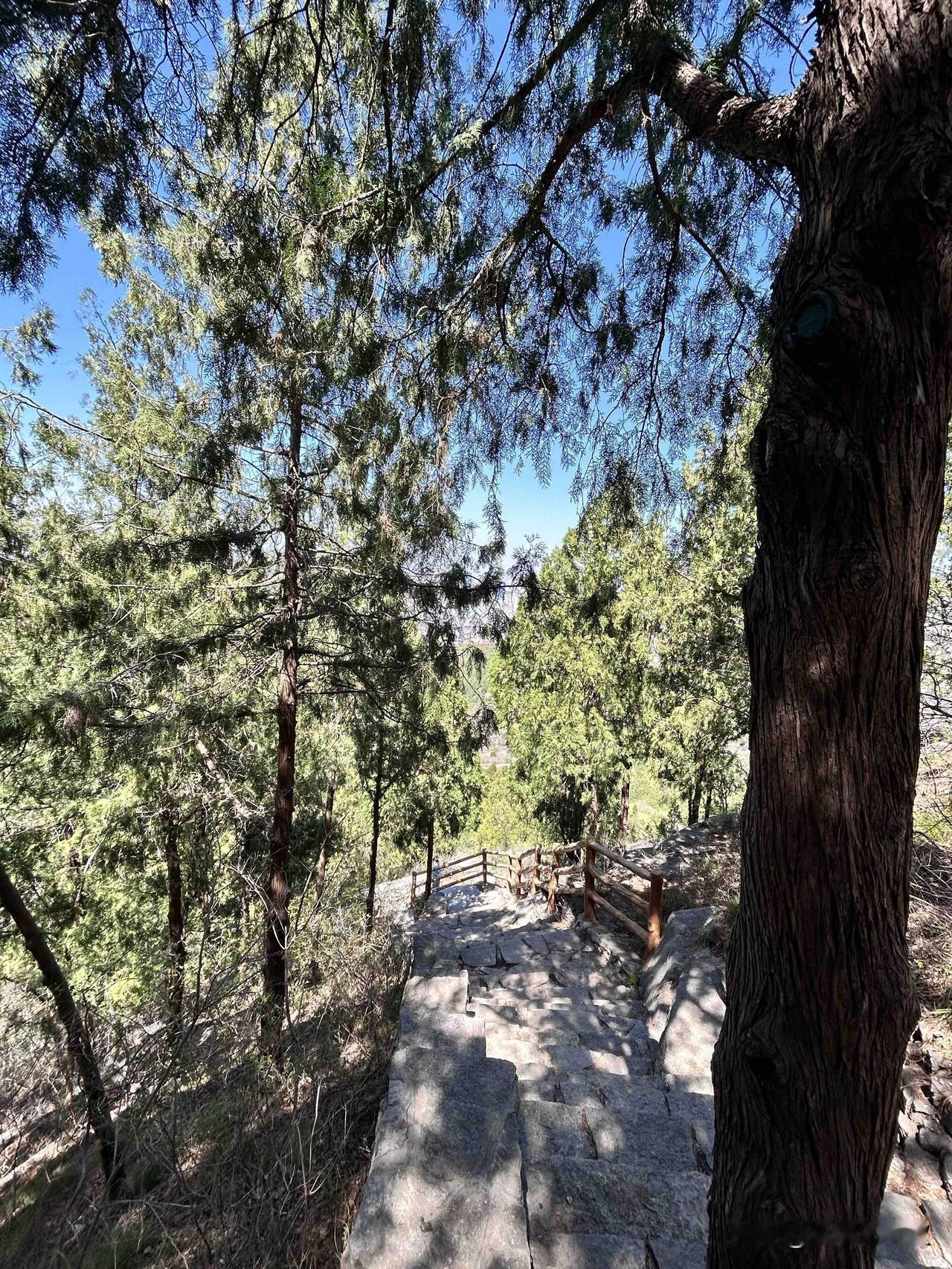 话说“坎年”

民间一直有七十三八十四，阎王不叫自己去的说法。其由来是因为孔子虚