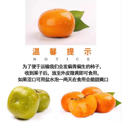 2026 脆柿子  脆甜硬柿子  果肉脆甜多汁吃腻了软趴趴的柿子是不是想换一种口