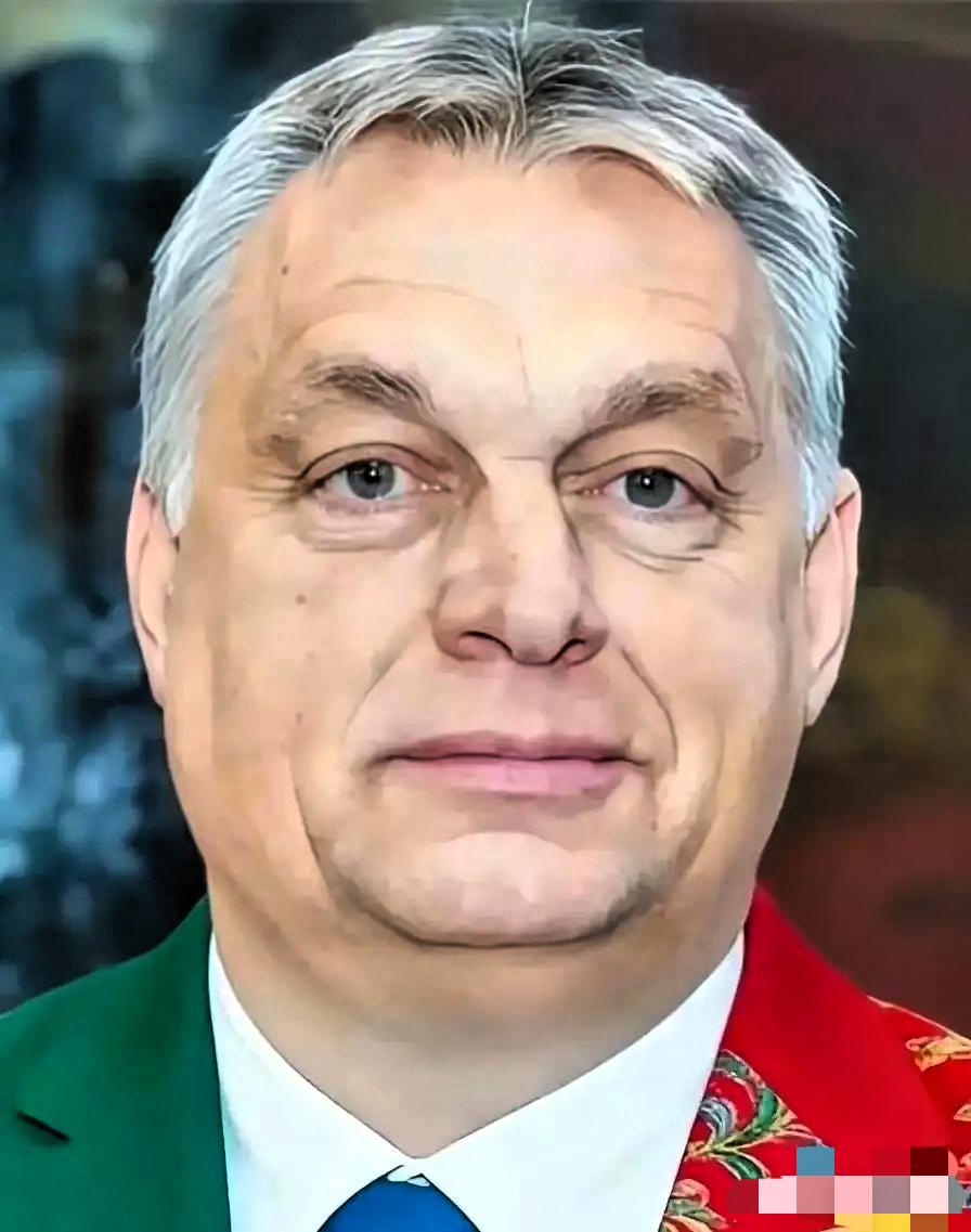 欧尔班这次直接掀桌子了！3月27日，匈牙利总理欧尔班扔出一枚重磅炸弹，说他们调查