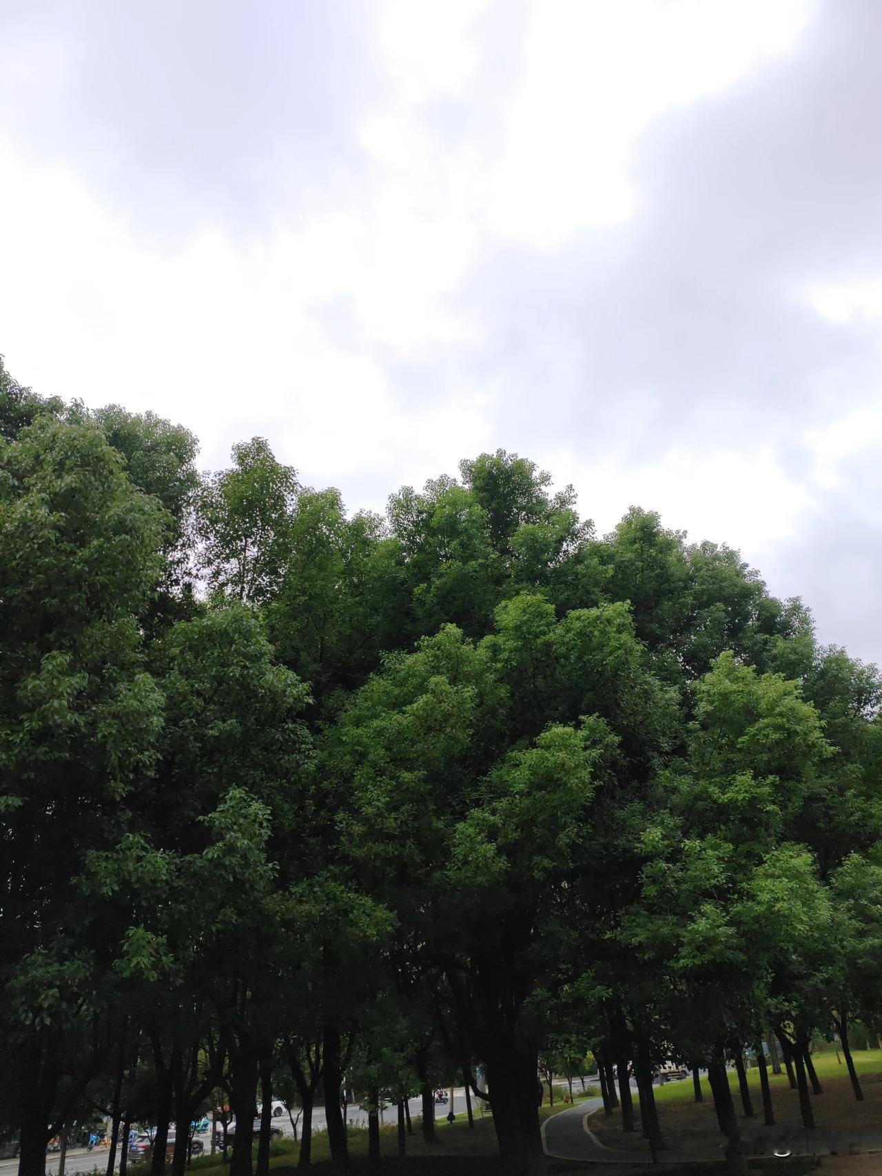 最近股市不知道为什么，一夜之间居然大变天，平地一声雷，一飞冲天！周围所有的人都在