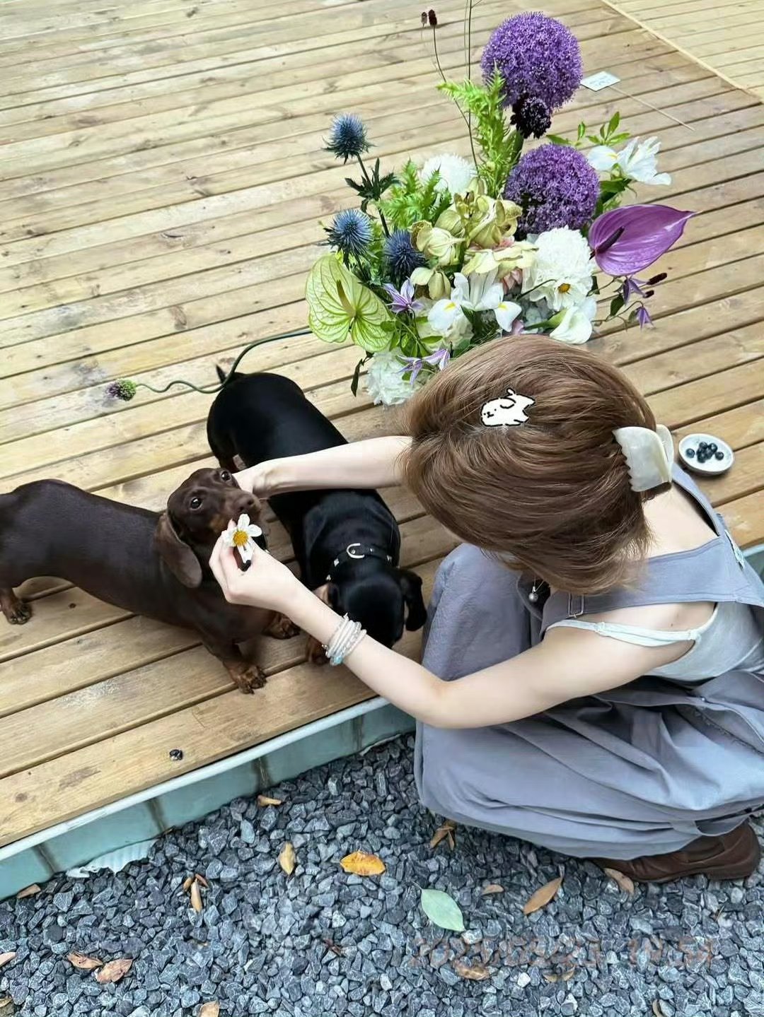 晚安💤 