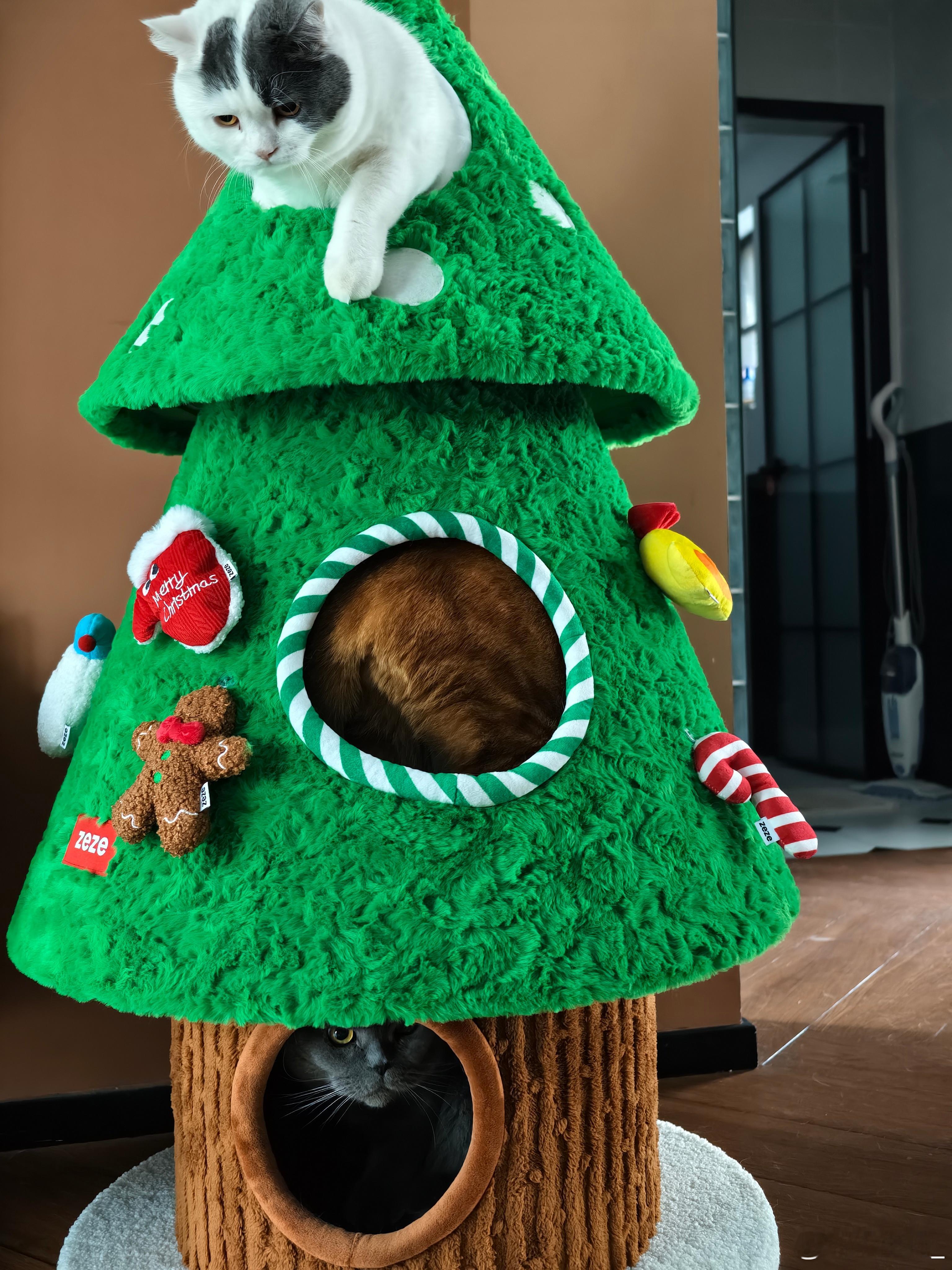 最近刷到山姆卖这个ZEZE圣诞树猫窝下单三天就到了用了回馈金就三百大洋，官网要五