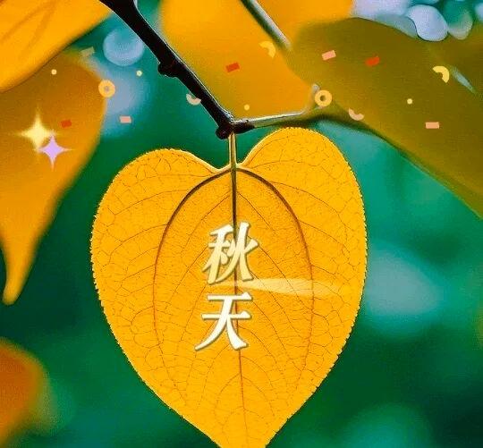 一叶知秋🍁秋色晚

   “春花秋月何时了，往事知多少”。已经怒放过，就无需再