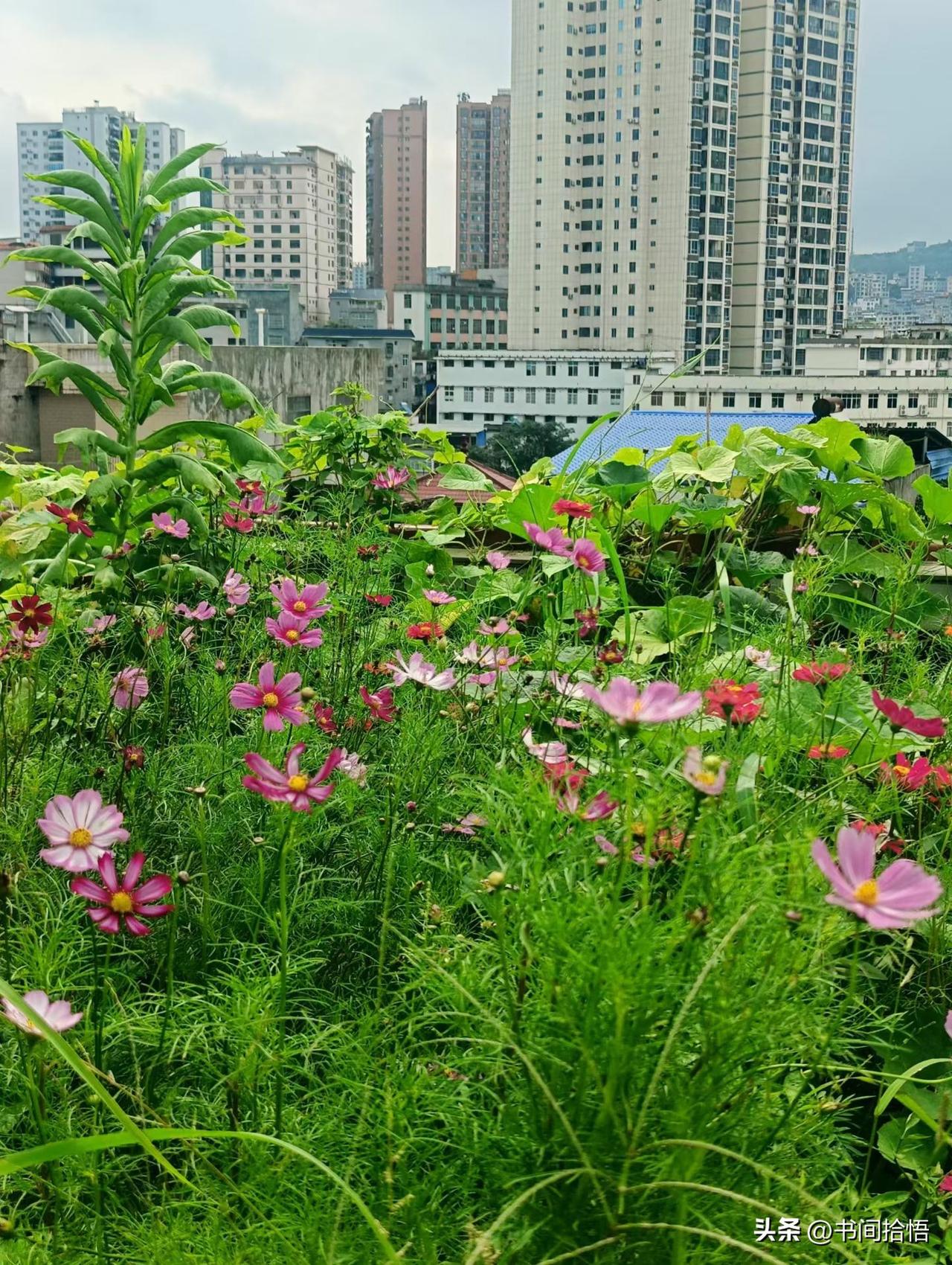 一位商业大佬说：
“没人骂你，没人陷害你，没人攻击你，没人打击你，只能说明一点，
