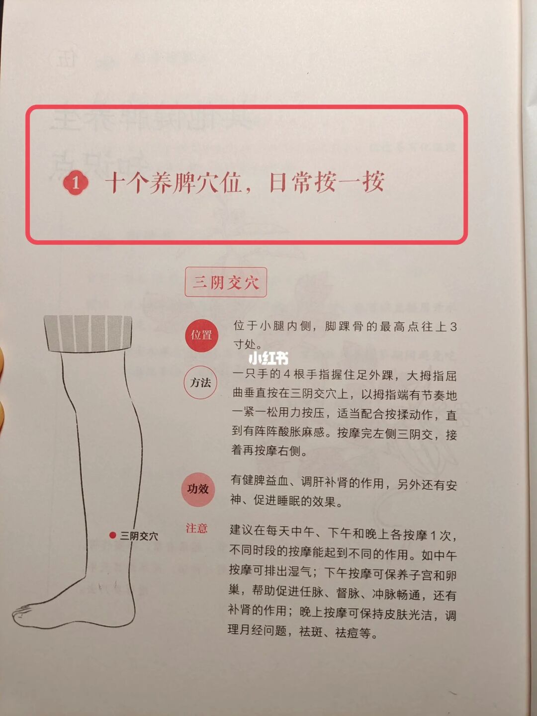 十个养脾穴位，按一按，你会有收获🔥🔥