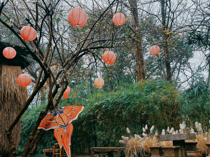 赵小童忙里偷闲走马观花一下  赵小童忙里偷闲去发现美好，走马观花的plog拍得生