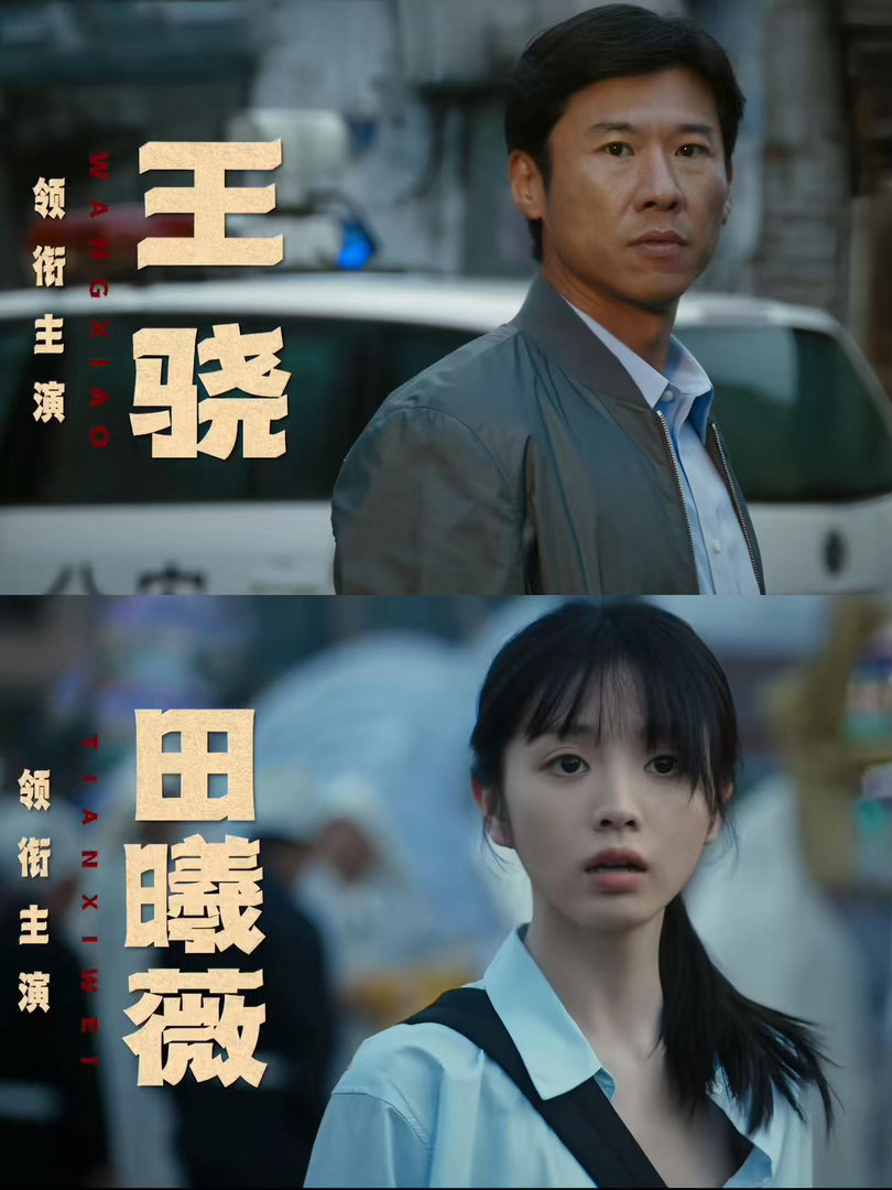 原来低智商犯罪不是反讽低智商犯罪 全员主打一个有勇无谋，胆大又糊涂，每一个名场面