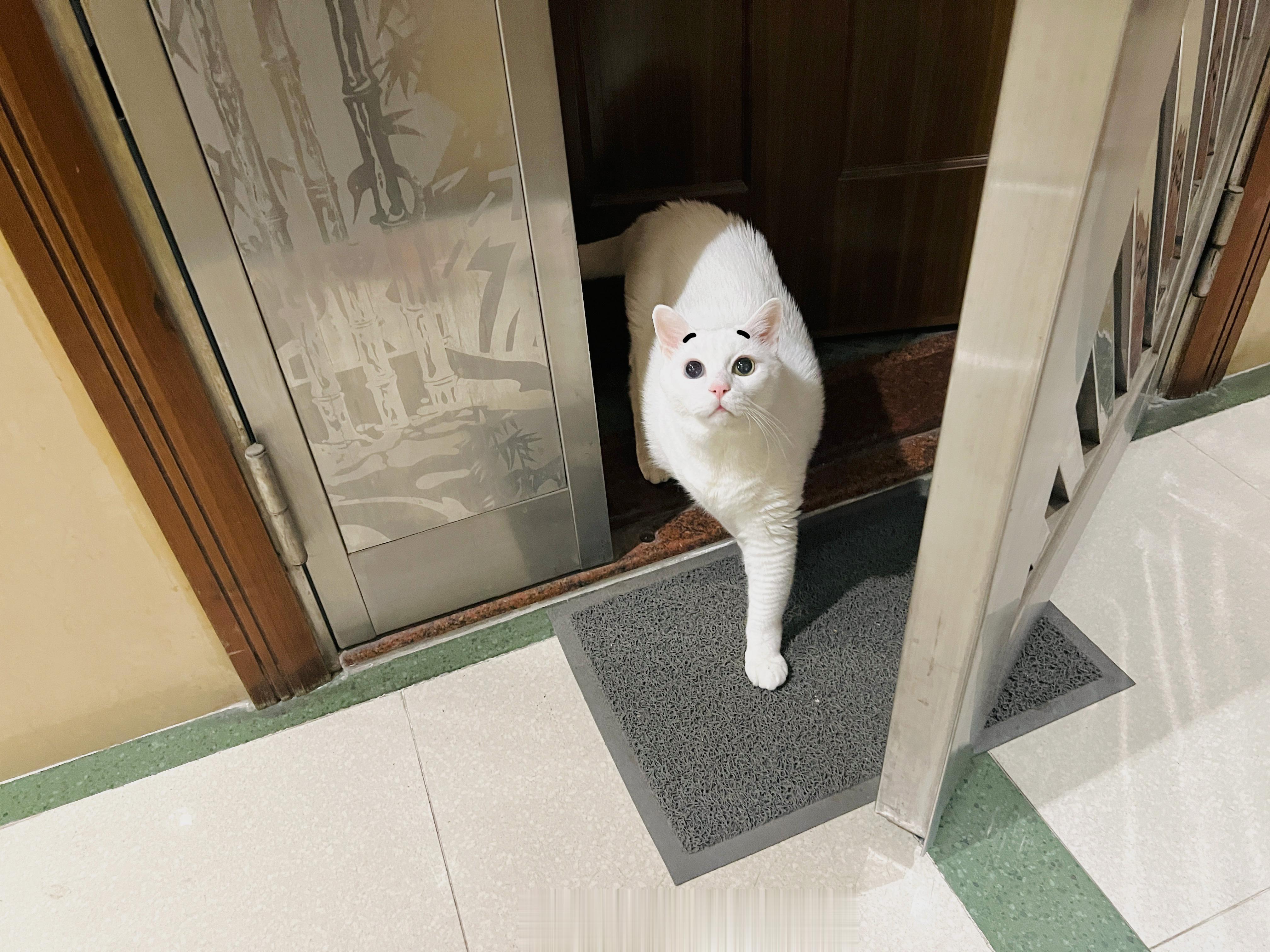 老寶也放風惹～後面黑黑的在大叔躺。 ​​​