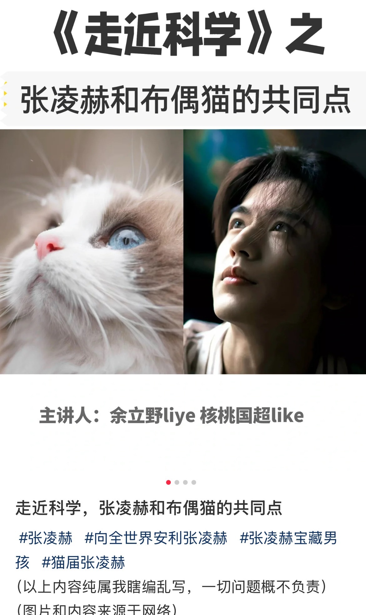 张凌赫撸猫男友感好重 谁懂帅哥和布偶猫同框带来的视觉冲击力！张凌赫和布偶猫的共同