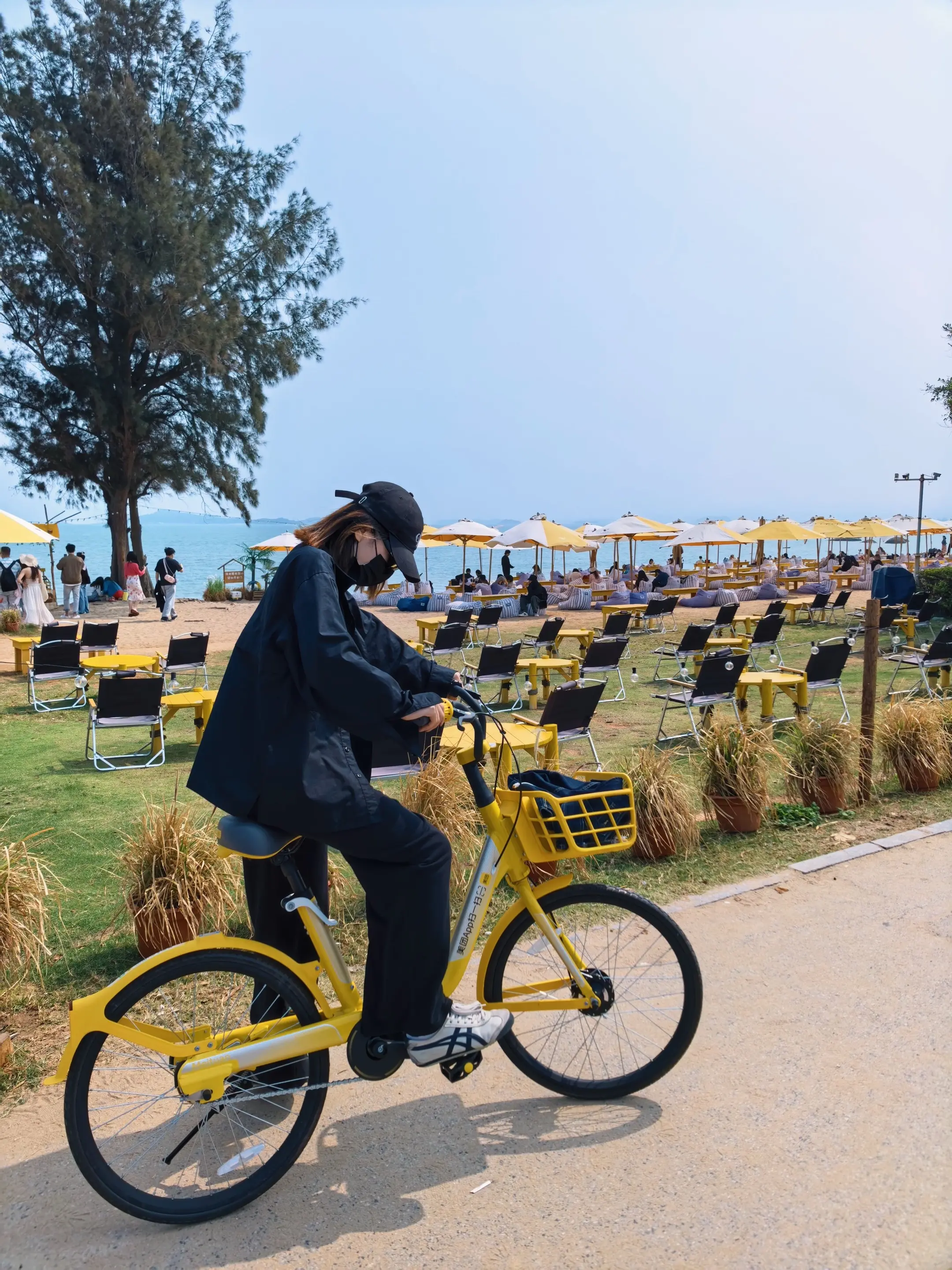 厦门环岛路太美啦