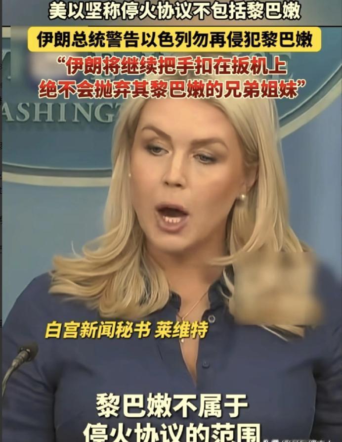 特朗普，万斯，卡罗琳，内塔尼亚胡，这4个人都在撒谎。

巴基斯坦总理谢里夫，拿出