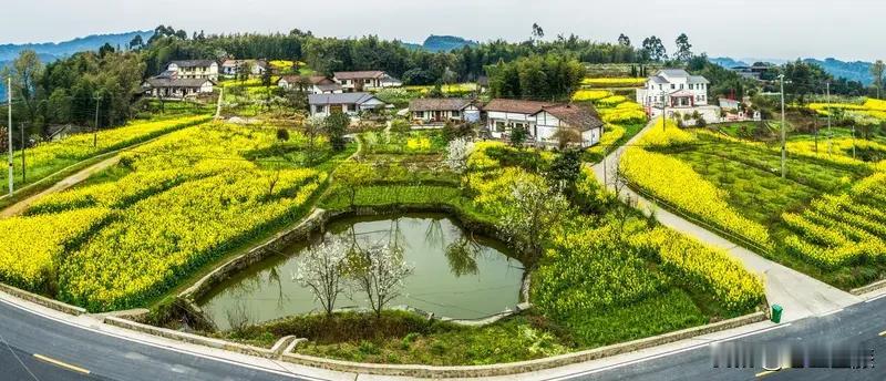 青山绿水,鸟语花香的农村不好吗? 青山绿水、鸟语花香的农村当然好！就像四川，8部
