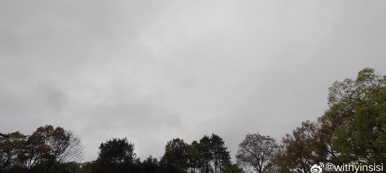 这天气如浸了淡墨色的宣纸 ​​​