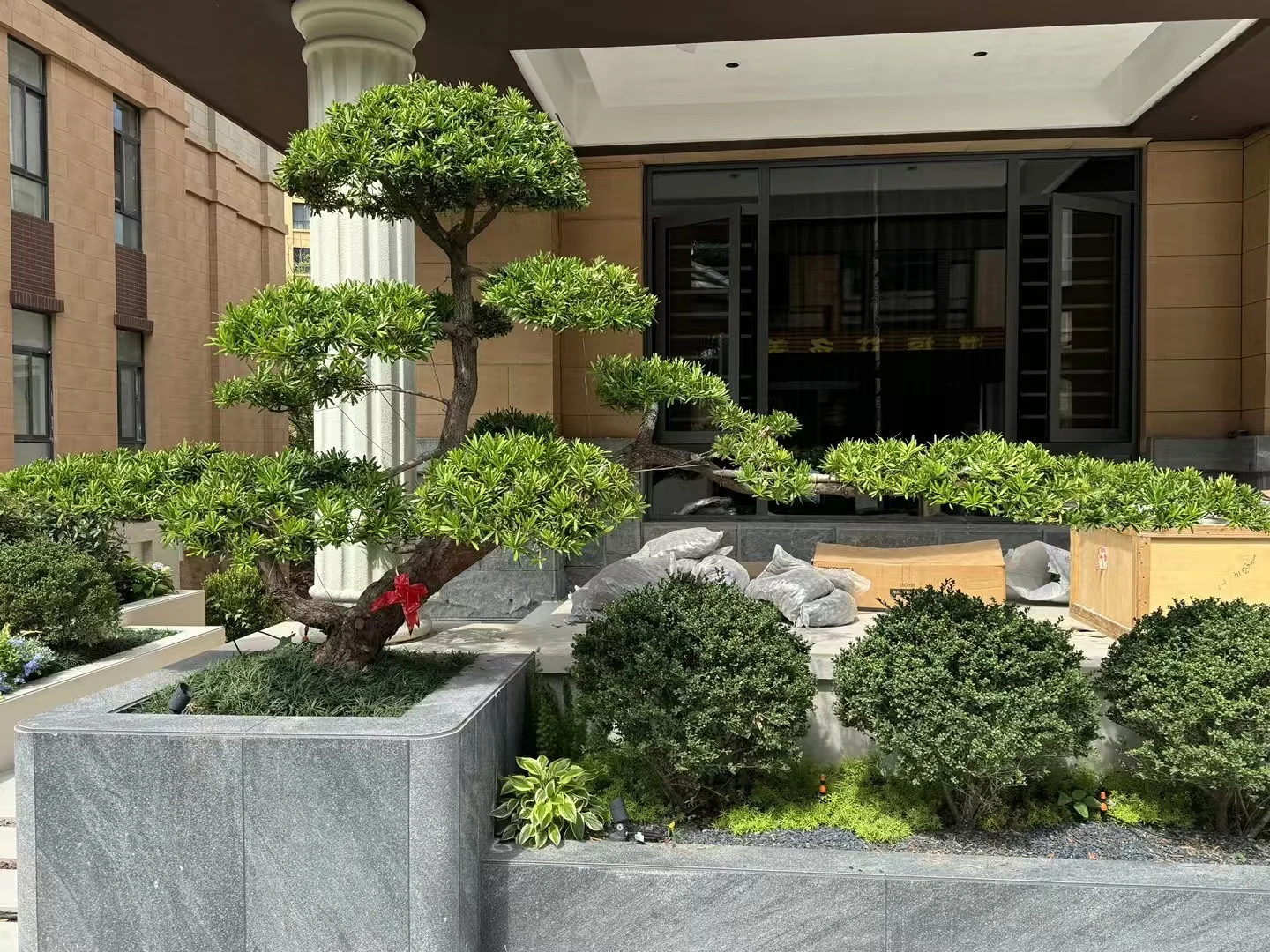 绿色角落，阳光满满