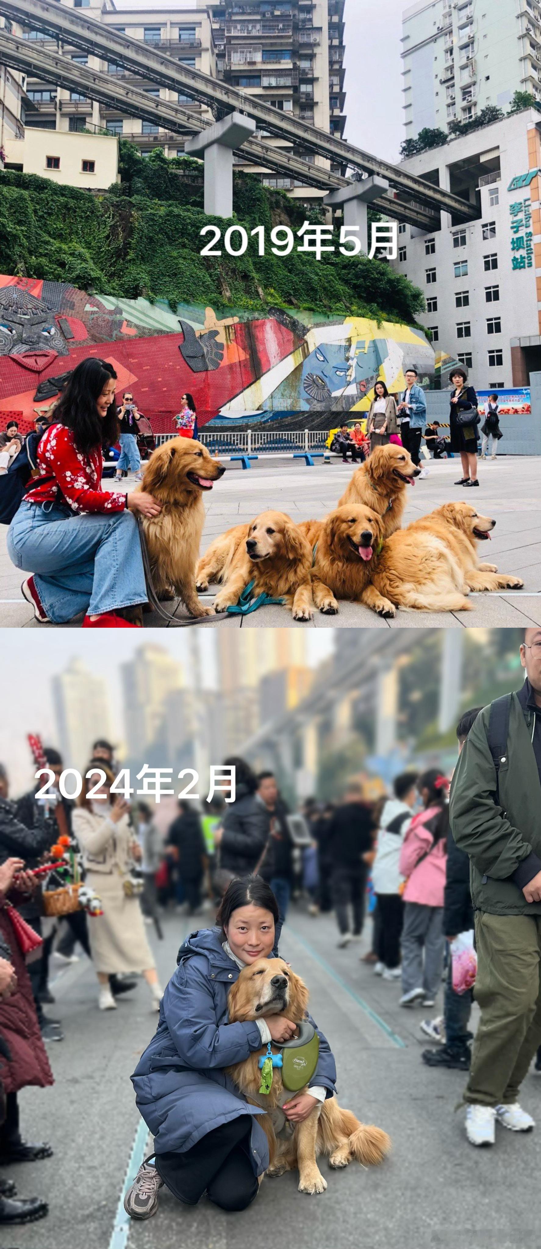 2019vs2024 ​​​