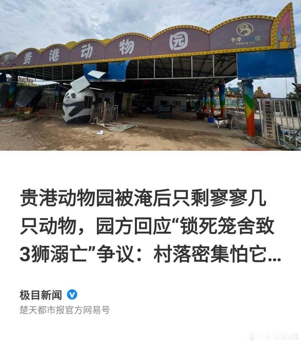 广西贵港动物园锁死笼中3狮溺亡 
