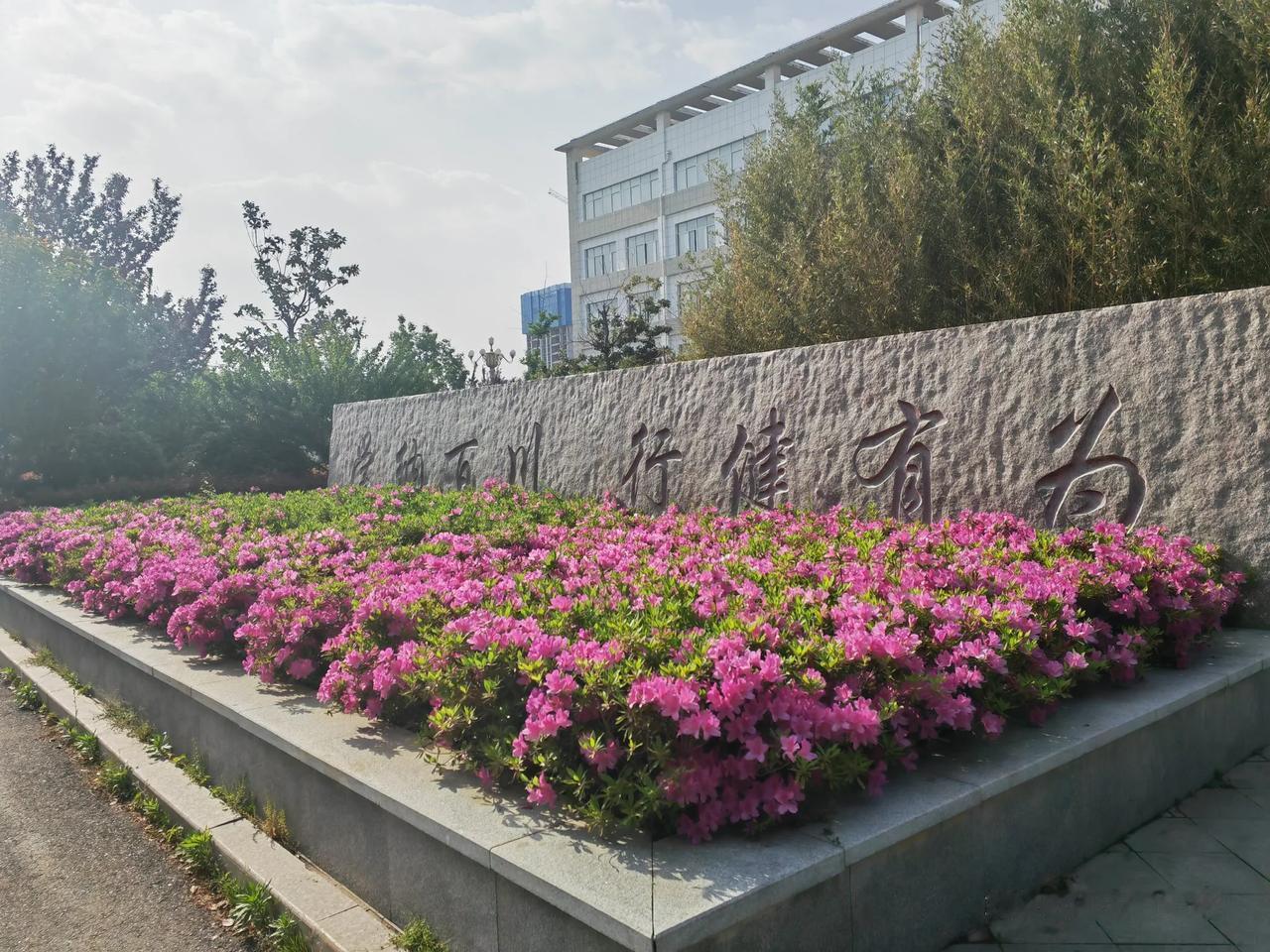 我为自己的“熟视无睹”和“学识浅薄”深感羞耻，太不应该了，也太丢人了。
学校的这