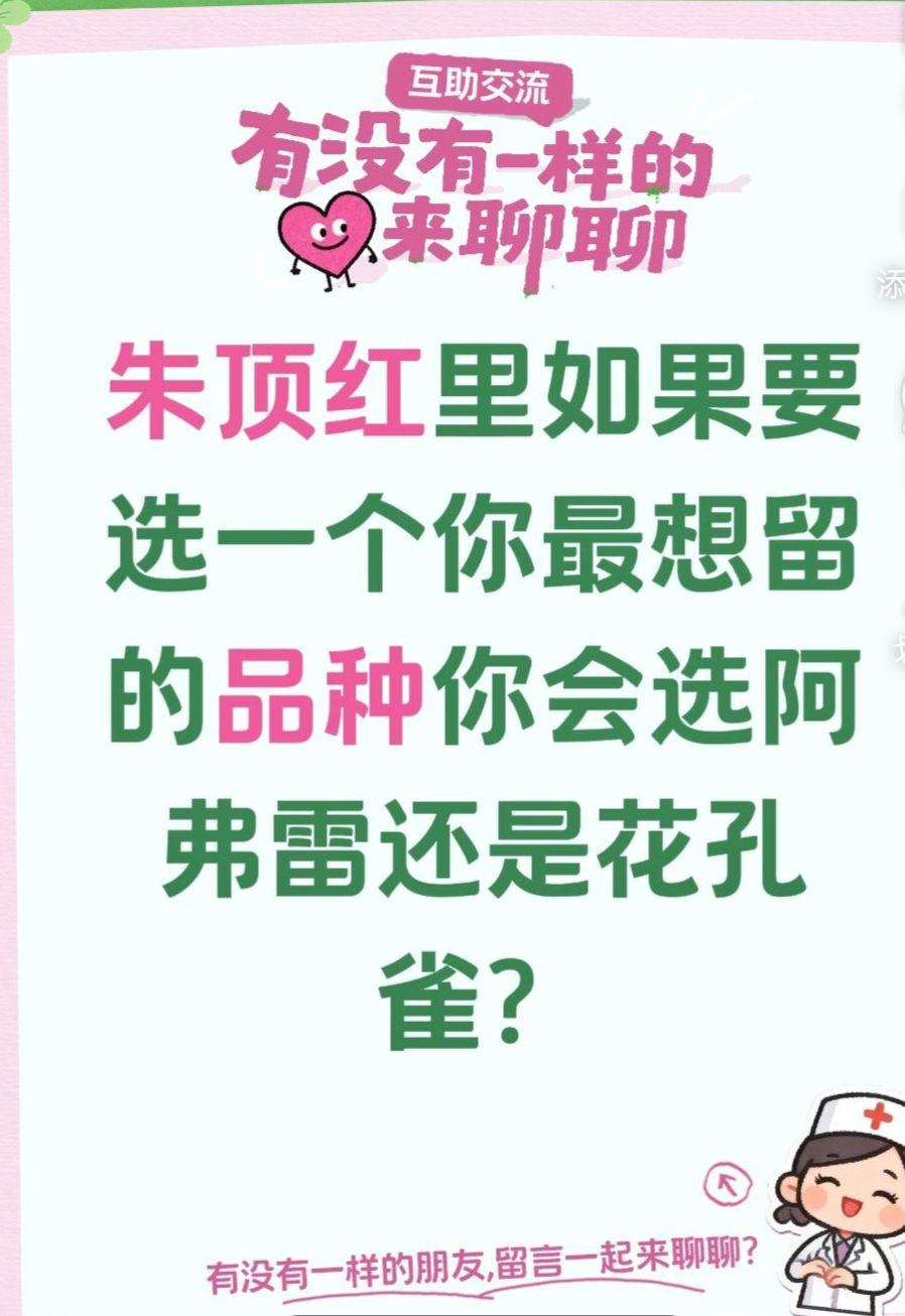 阿弗雷和花孔雀应该怎么选？真实生活分享计划 朱顶红 朱顶红种球 阿弗雷