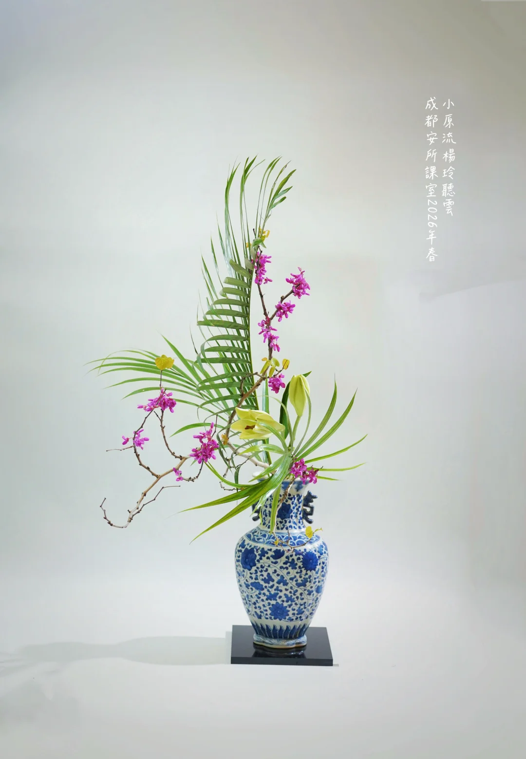 杨玲听云春季成都安所研修课作品