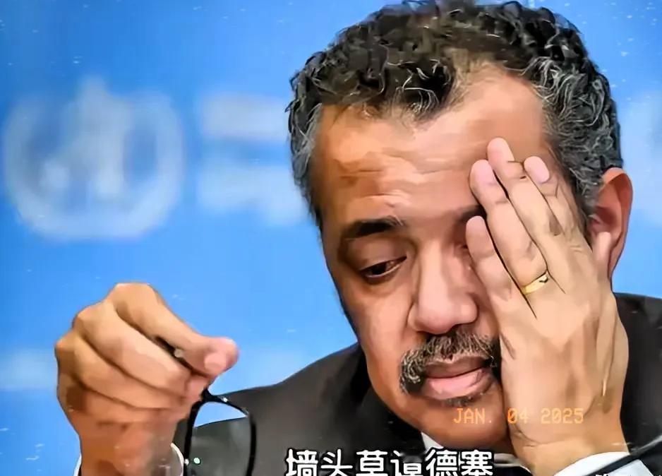 这回可真的是发火了！
世卫组织：要求某东方大国提供新冠大流行初期数据某东方大国：