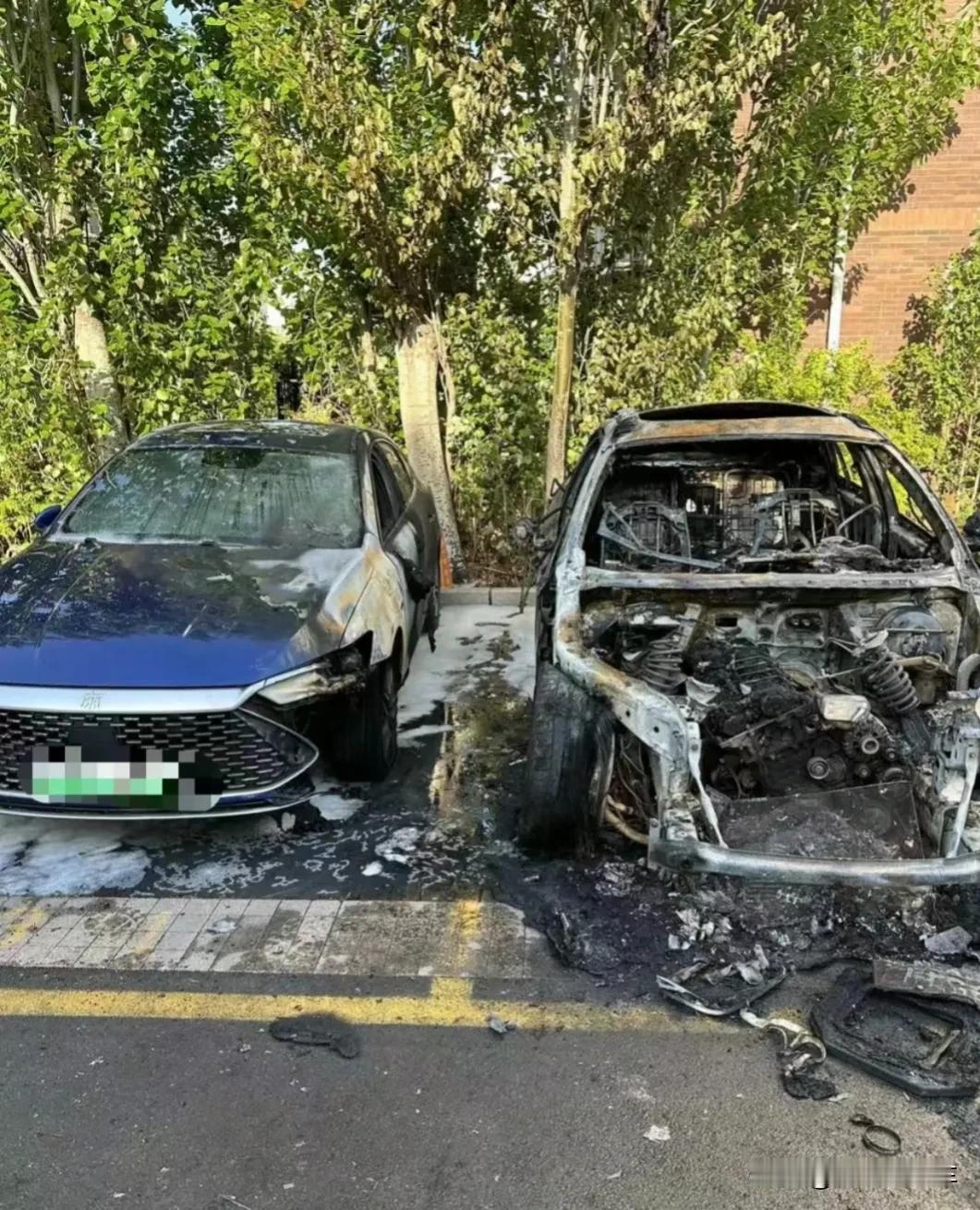现在买车你会考虑比亚迪吗?