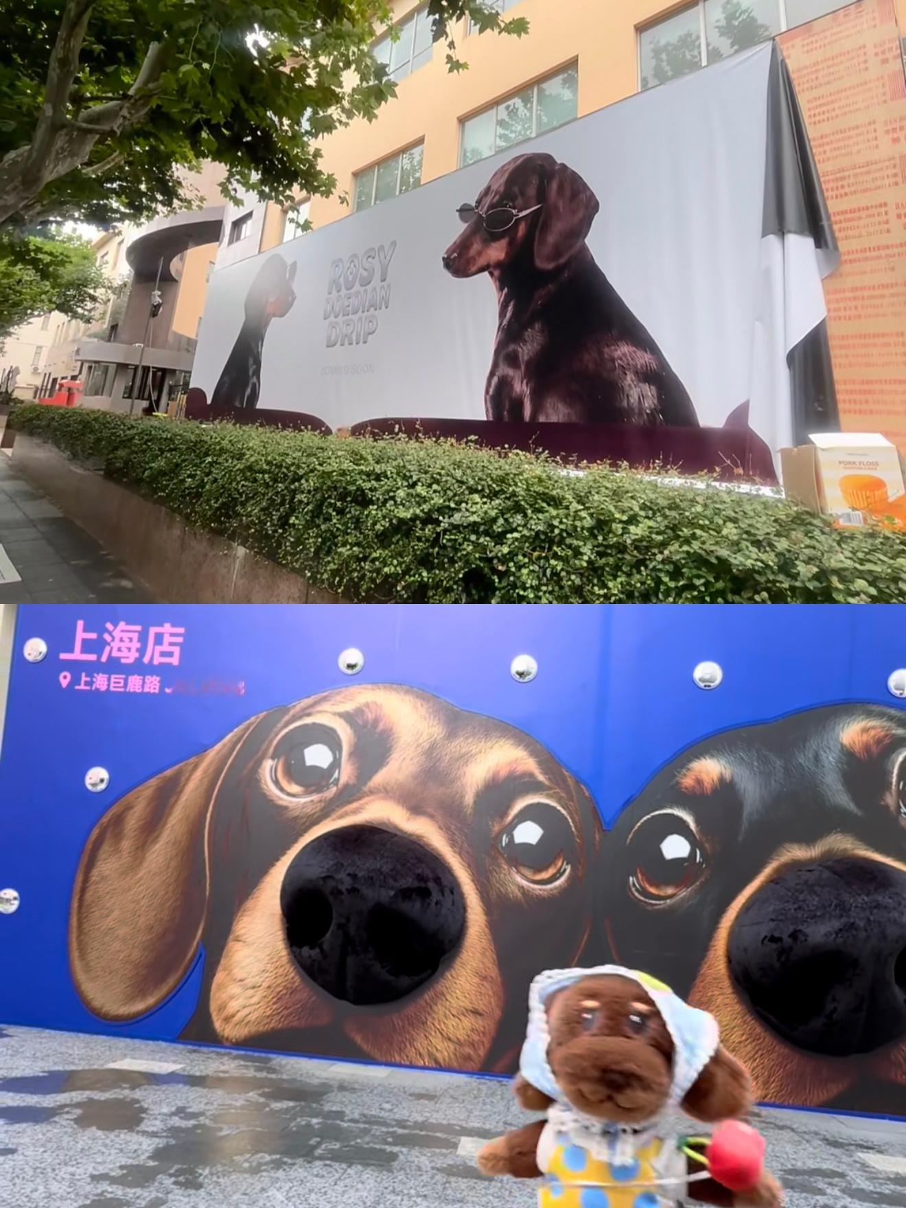 啊啊啊！rdd服装店也要来上海了！我这个ip太幸福了 