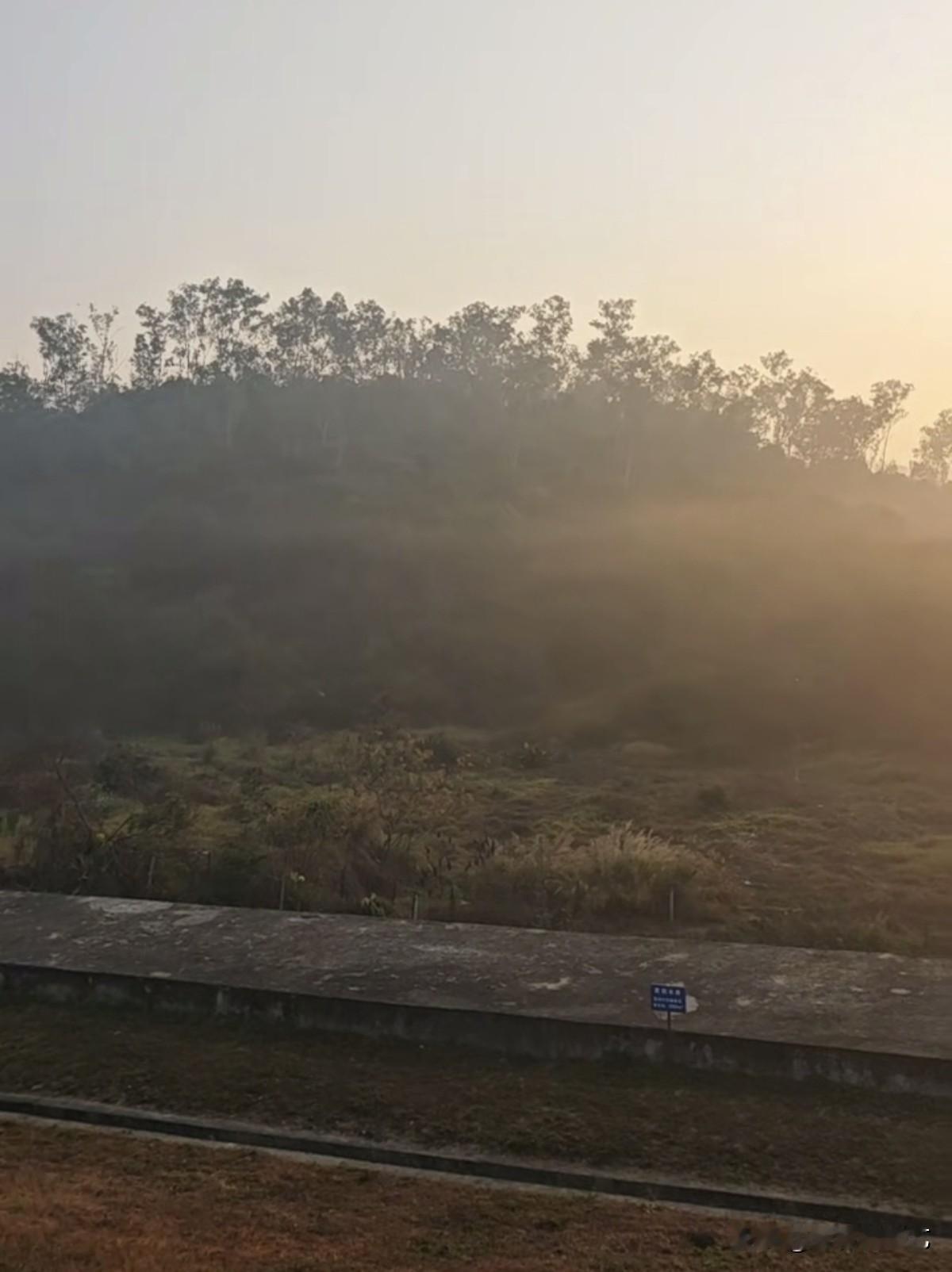 冬日生活打卡季晨雾裹着暖光漫过野地，矮丘上的林影浸在朦胧里，灰石岸与枯草地衬得画