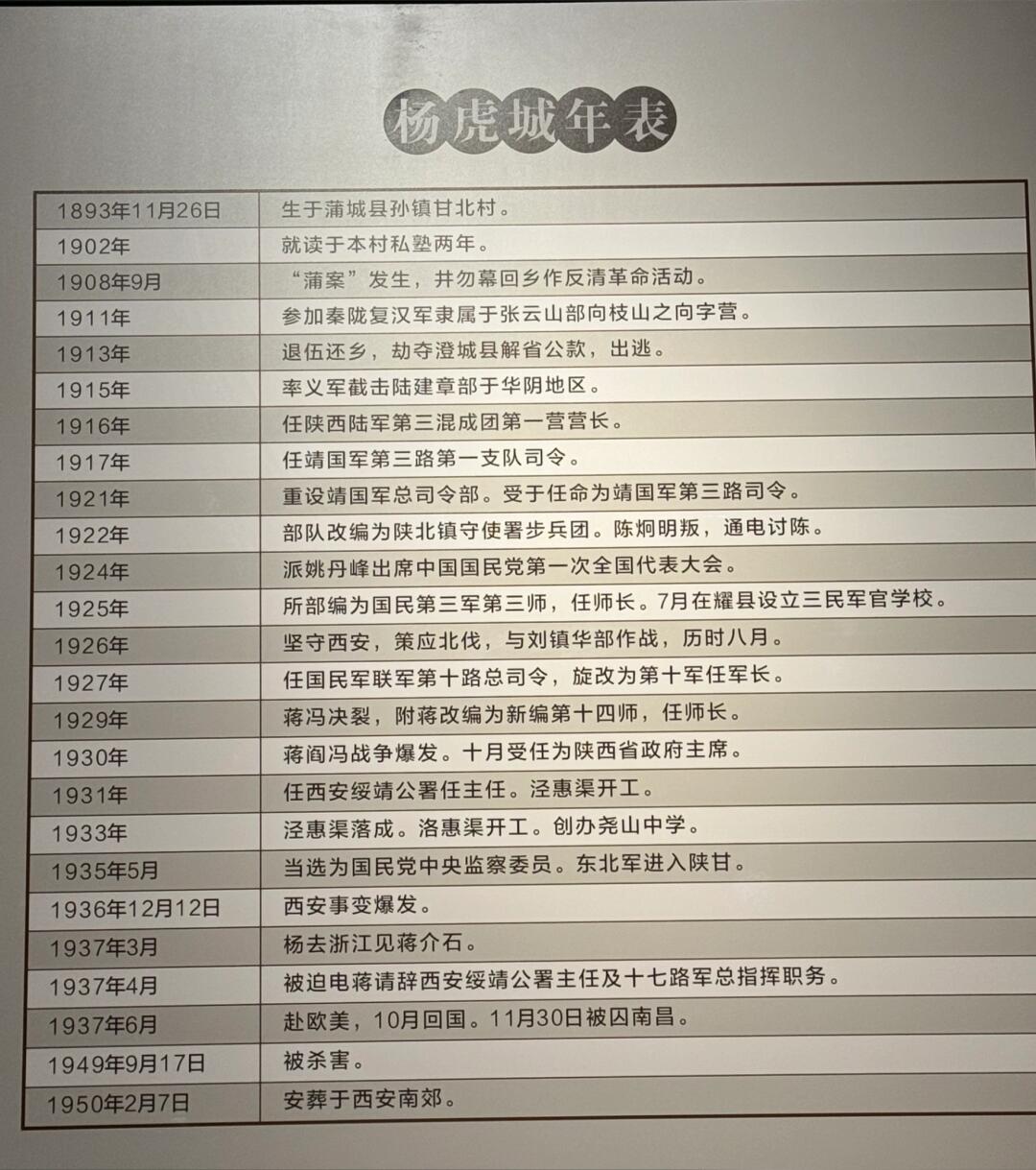 如果我是杨虎城，去了欧洲就不回来了