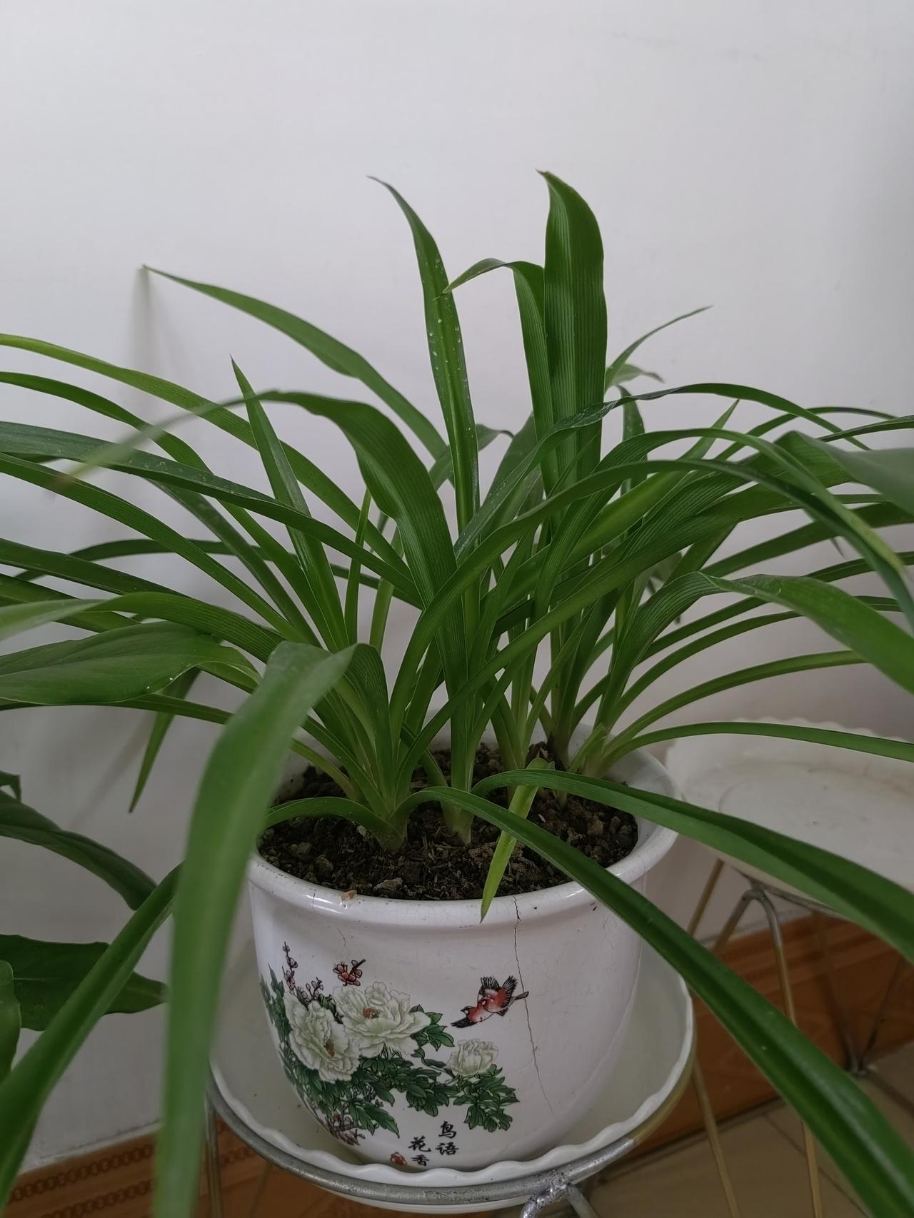 随着年龄增长，越来越不喜欢出门了。没事的情况下，可以一整天都窝在家里。
泡一杯茶