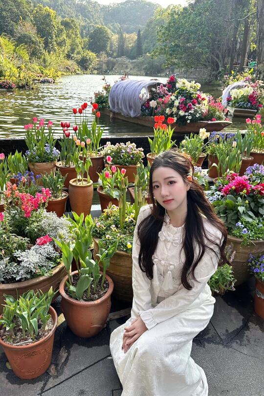 仙湖植物园|遇到了一片花海🌷